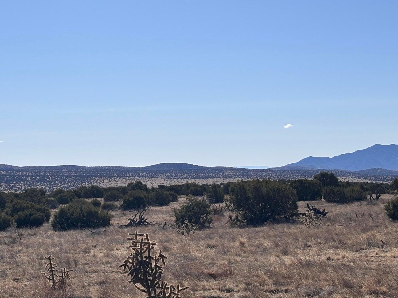 Photo 8 —  lot 168 Pinon Springs