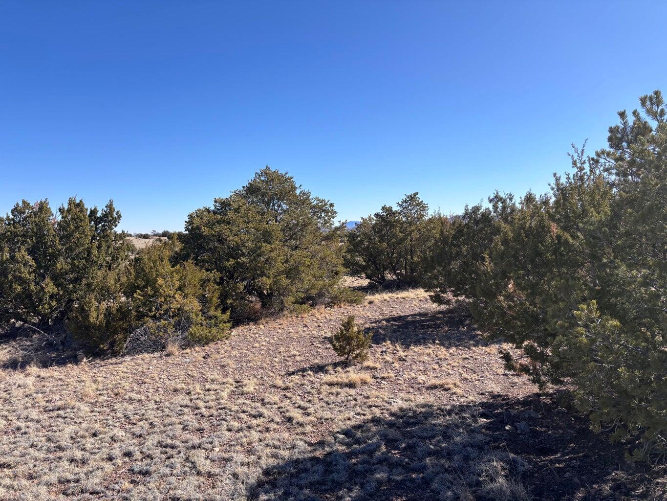 Photo 2 —  Lot 174 Pinon Springs