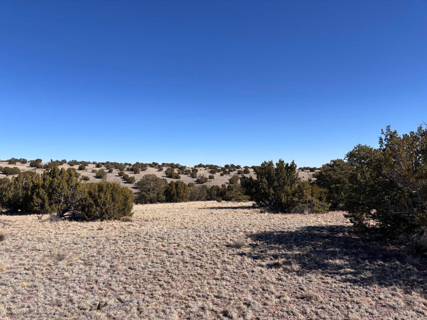 Photo 3 —  Lot 174 Pinon Springs