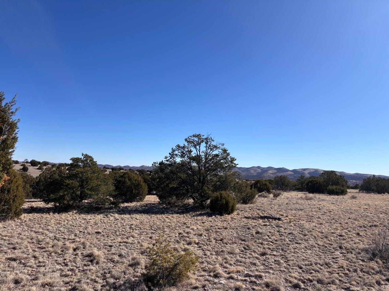 Photo 4 —  Lot 174 Pinon Springs