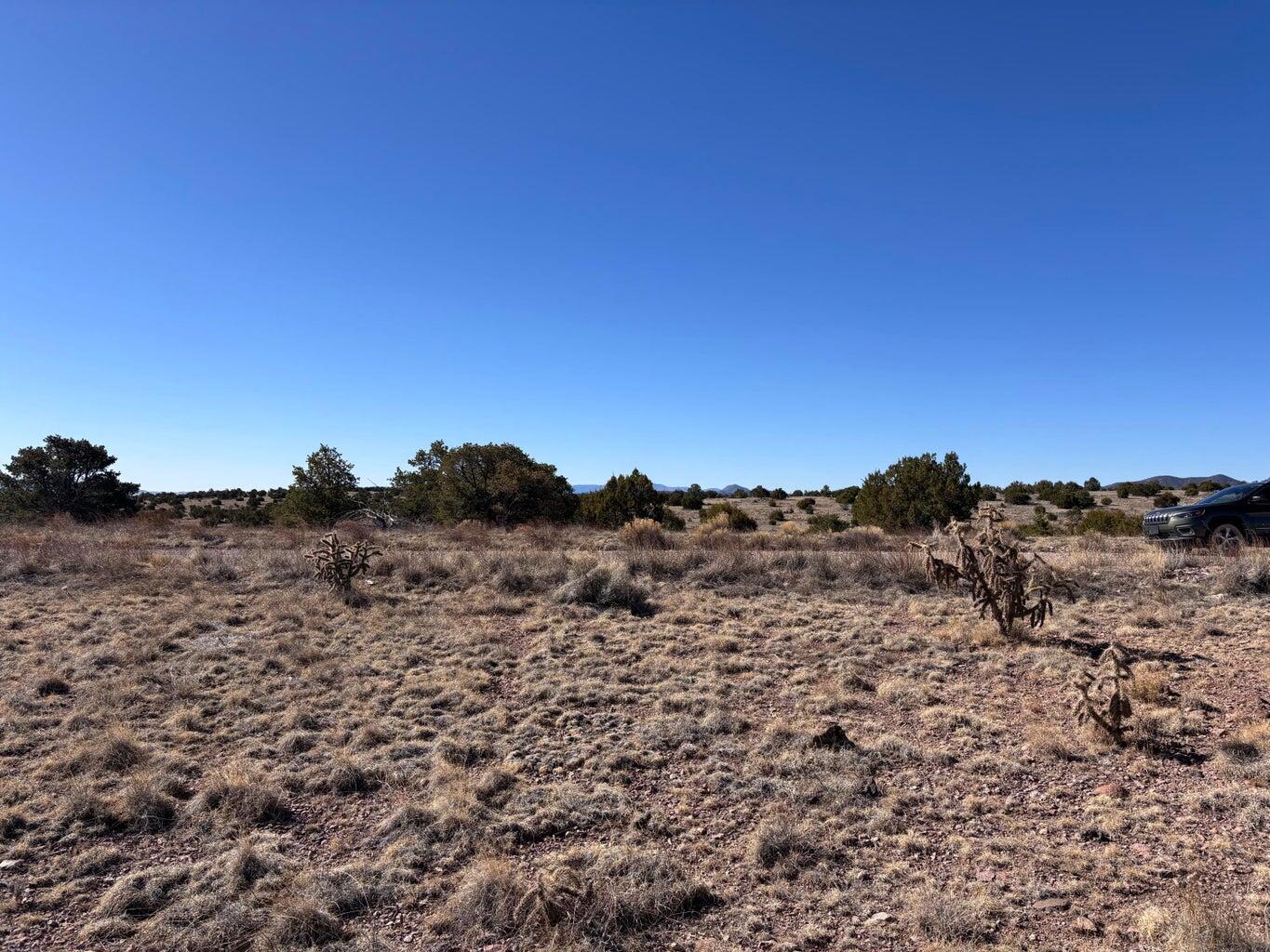 Photo 5 —  Lot 174 Pinon Springs