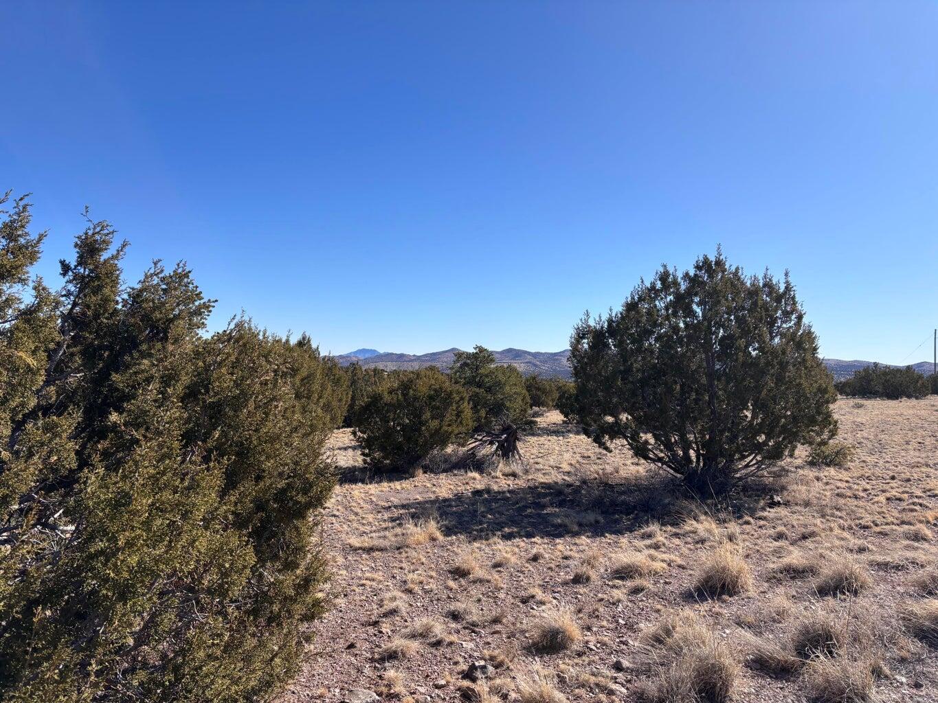 Photo 6 —  Lot 174 Pinon Springs