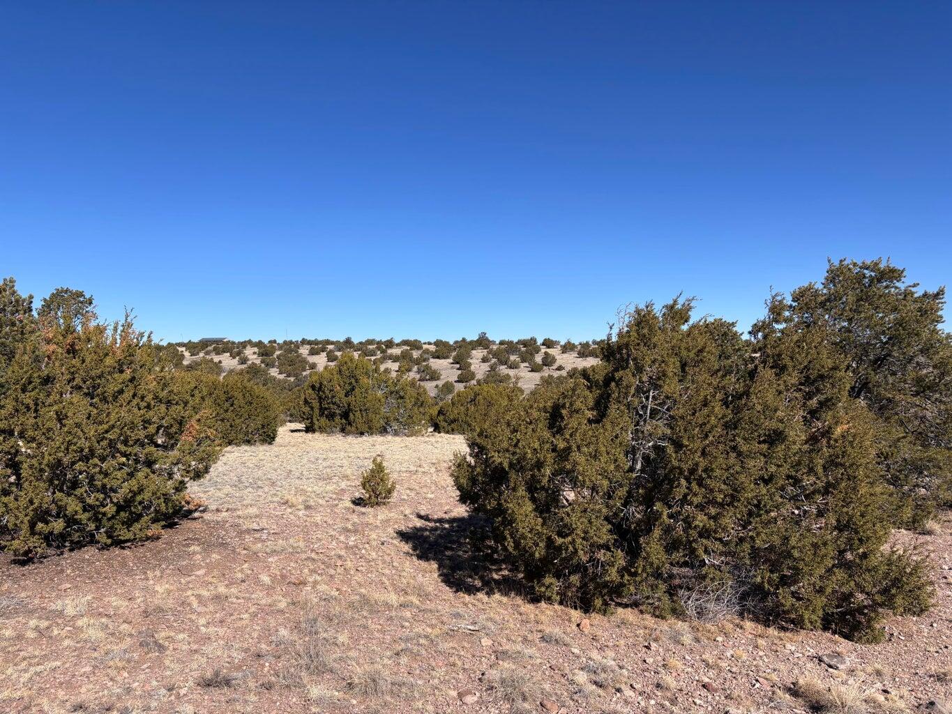 Photo 7 —  Lot 174 Pinon Springs