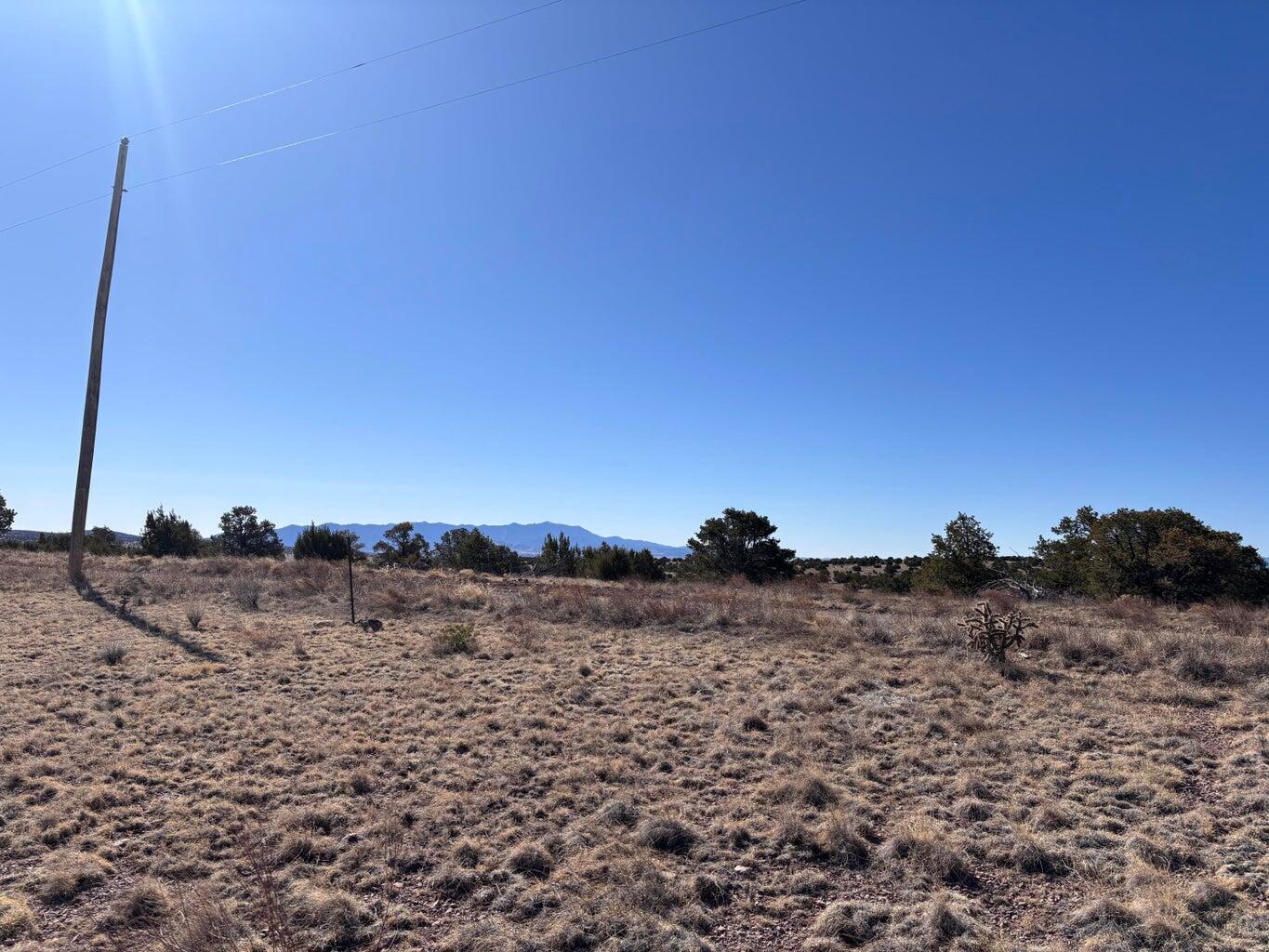 Photo 8 —  Lot 174 Pinon Springs