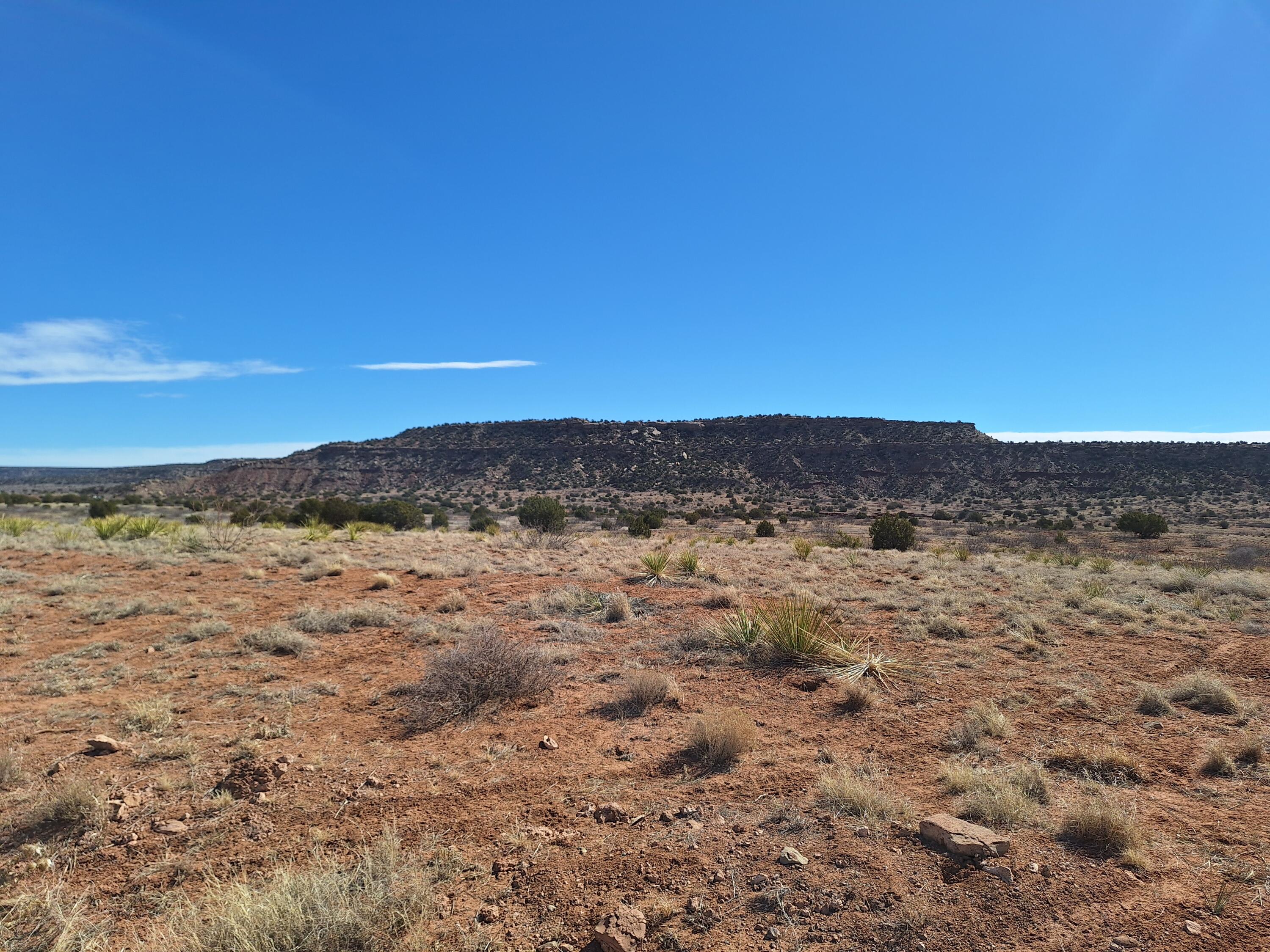 Photo 2 — 0 E 104 HWY