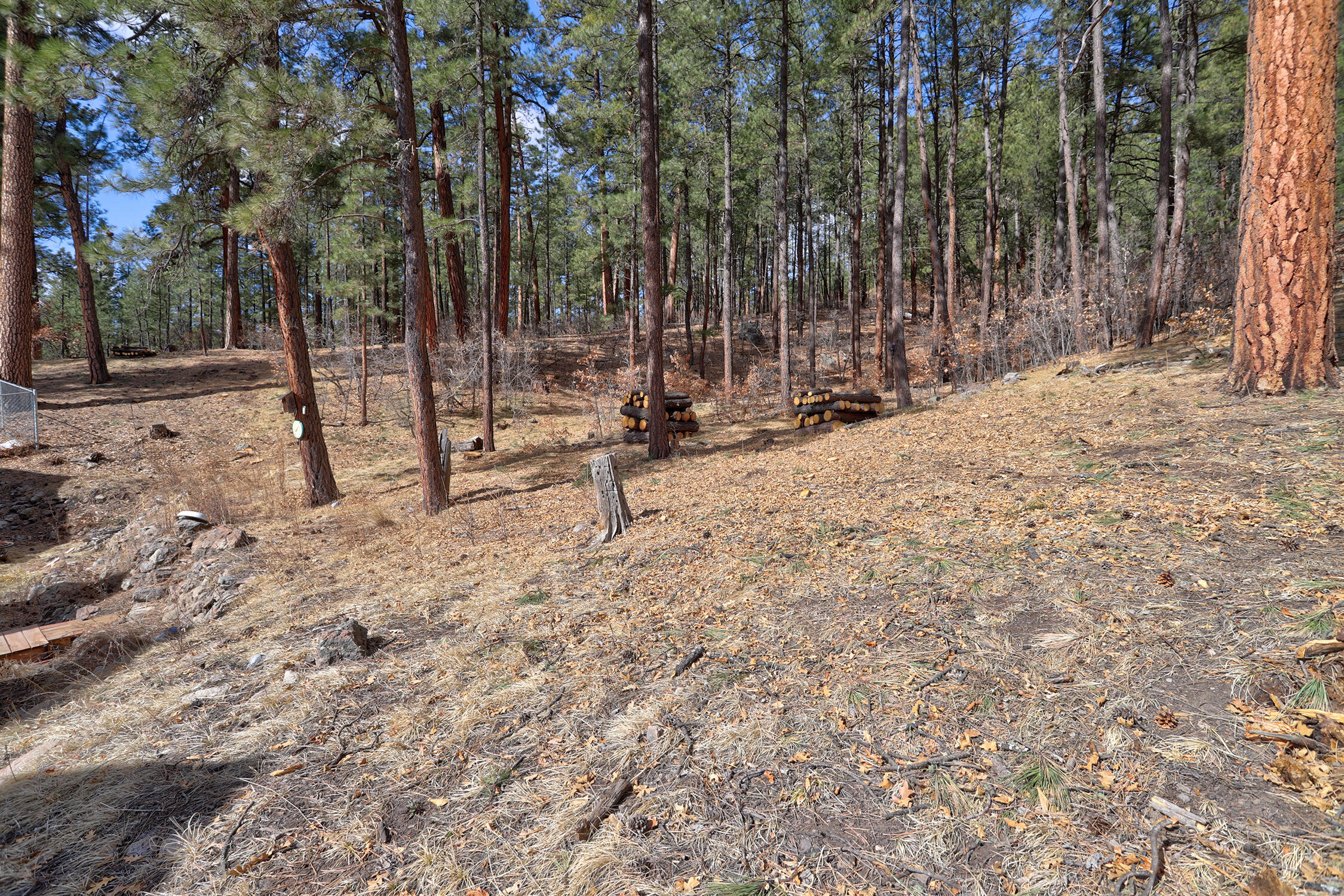 Photo 19 — 831 Sulphur Creek Road