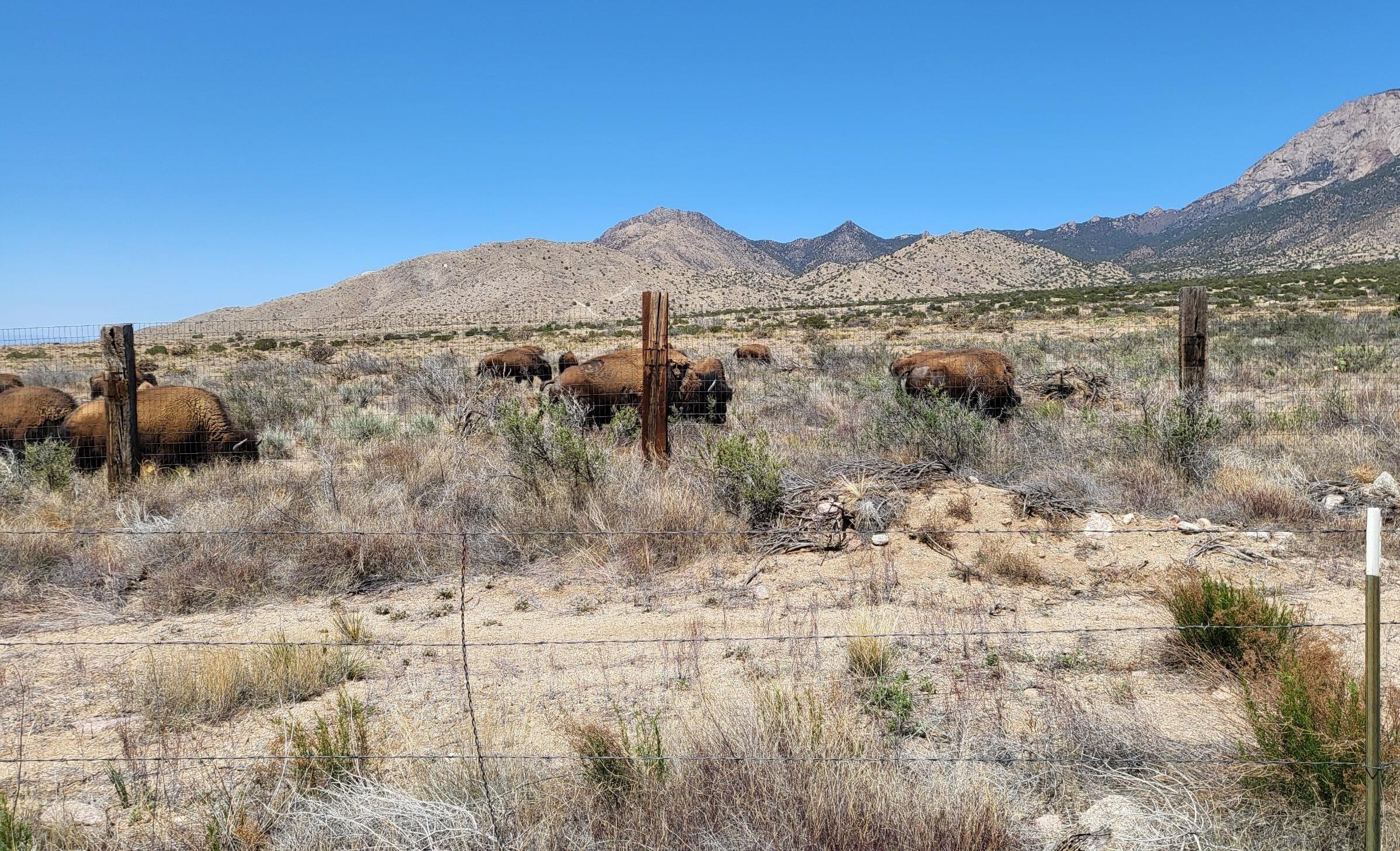 Photo 3 — 12055 Elena Drive NE