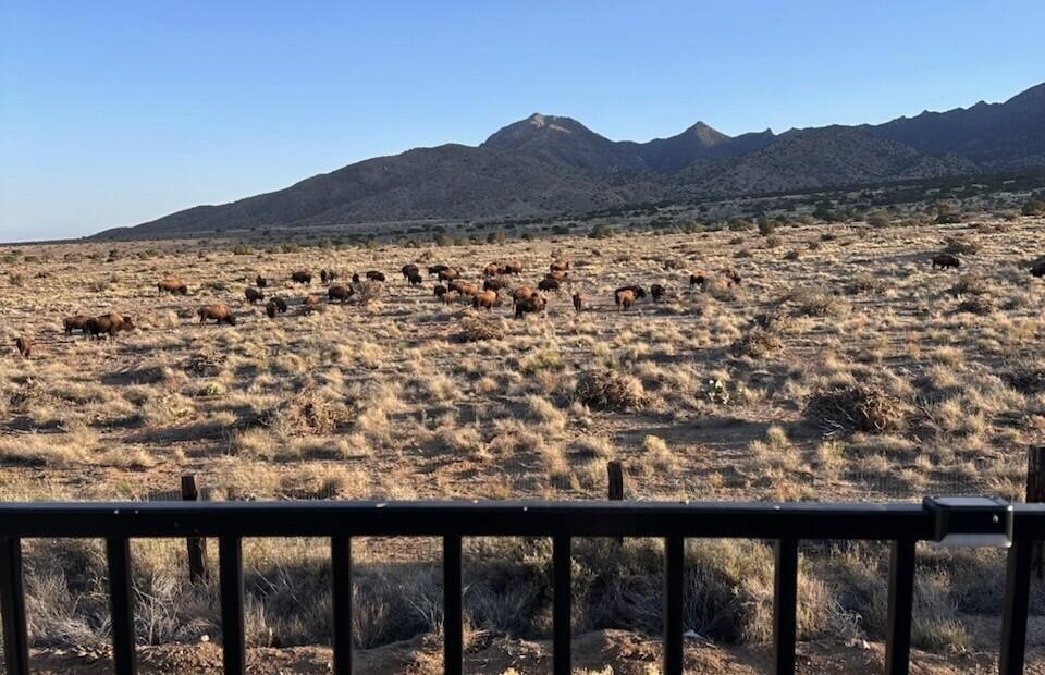 Photo 4 — 12055 Elena Drive NE