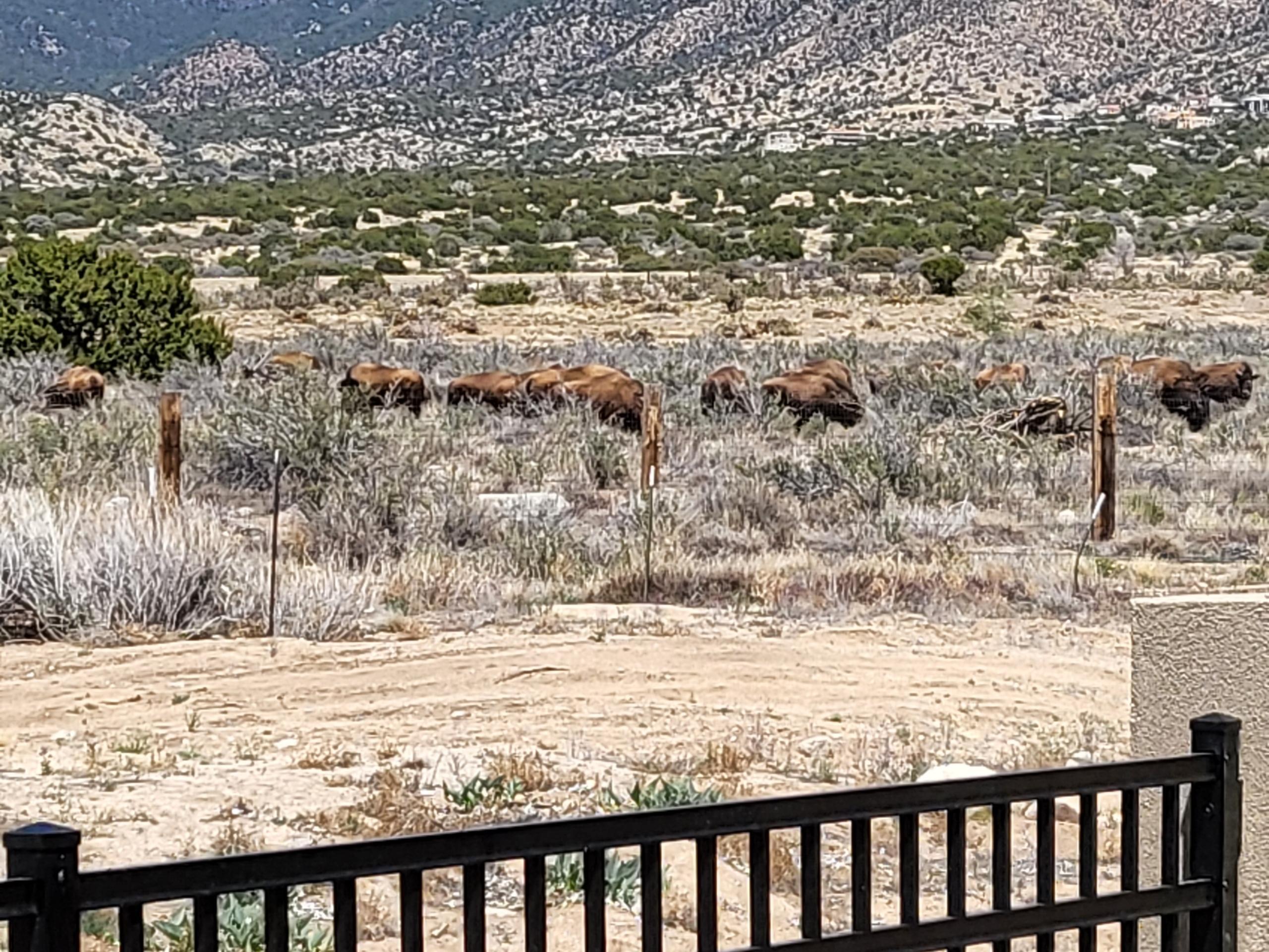 Photo 5 — 12055 Elena Drive NE