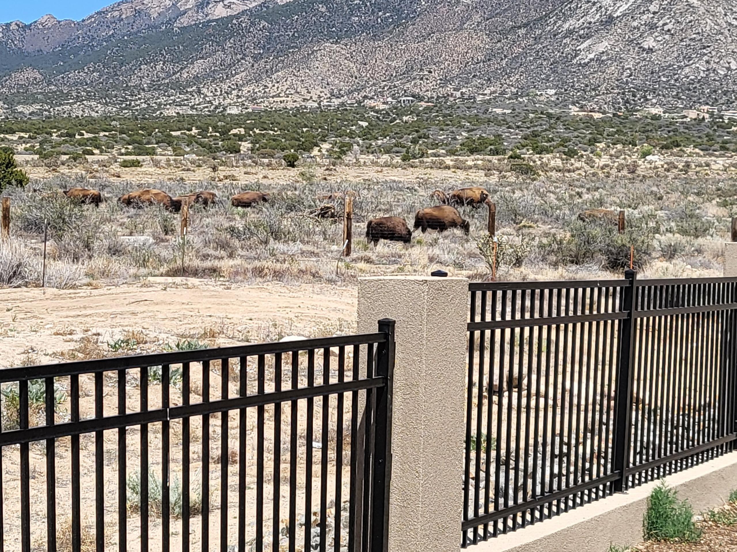 Photo 6 — 12055 Elena Drive NE