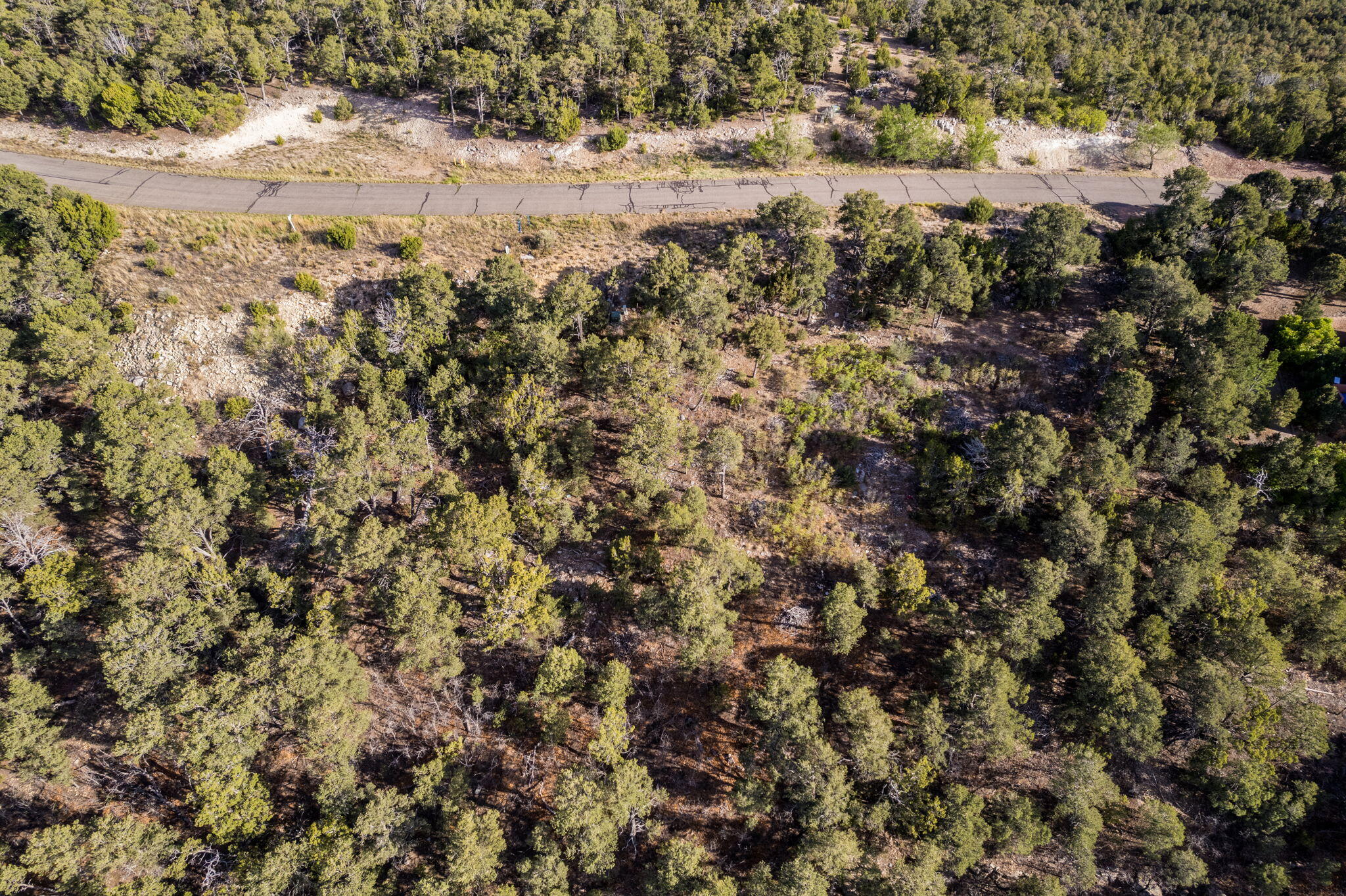 Photo 7 — 215 Via Sedillo Road