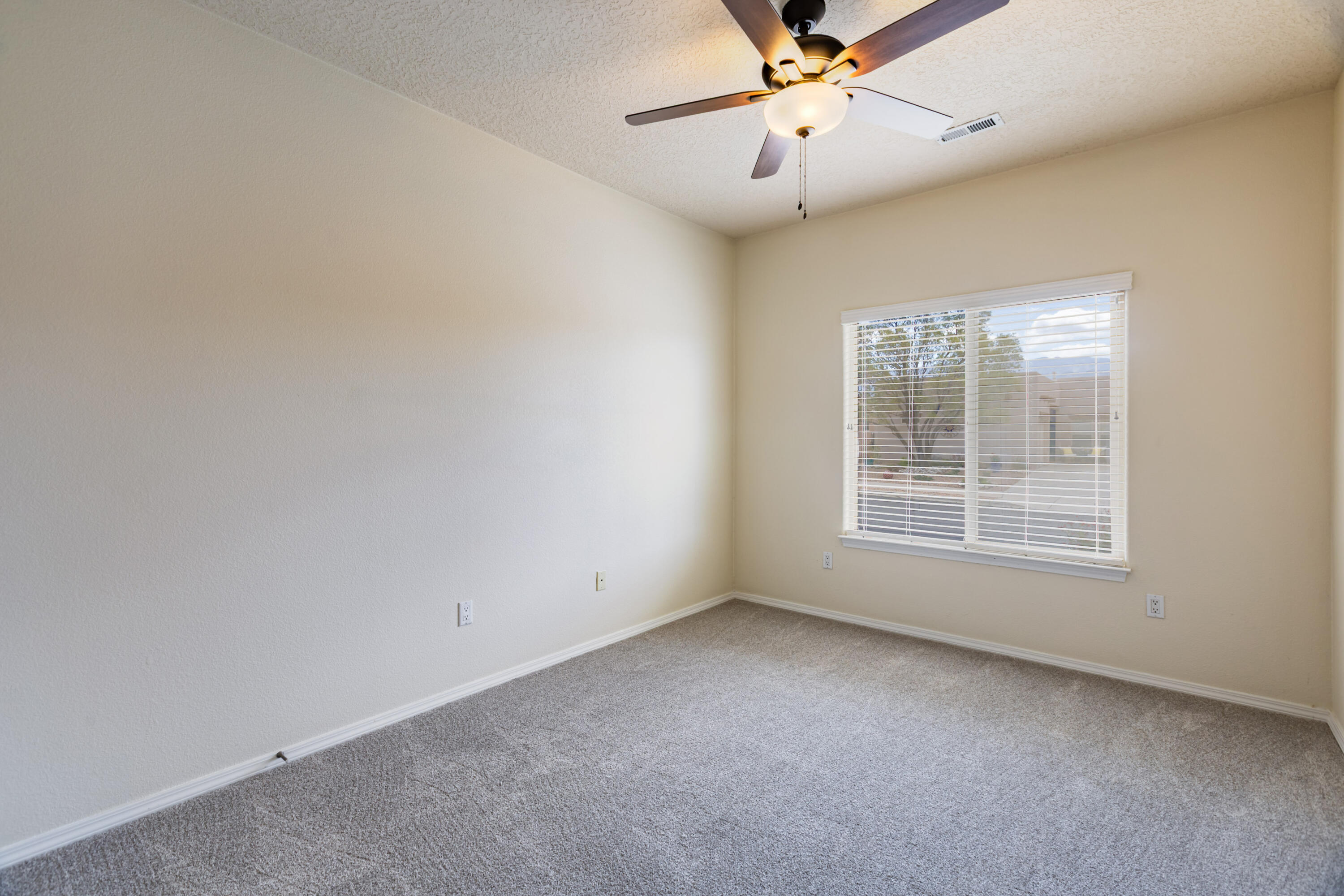 Photo 13 — 921 Purple Aster Drive