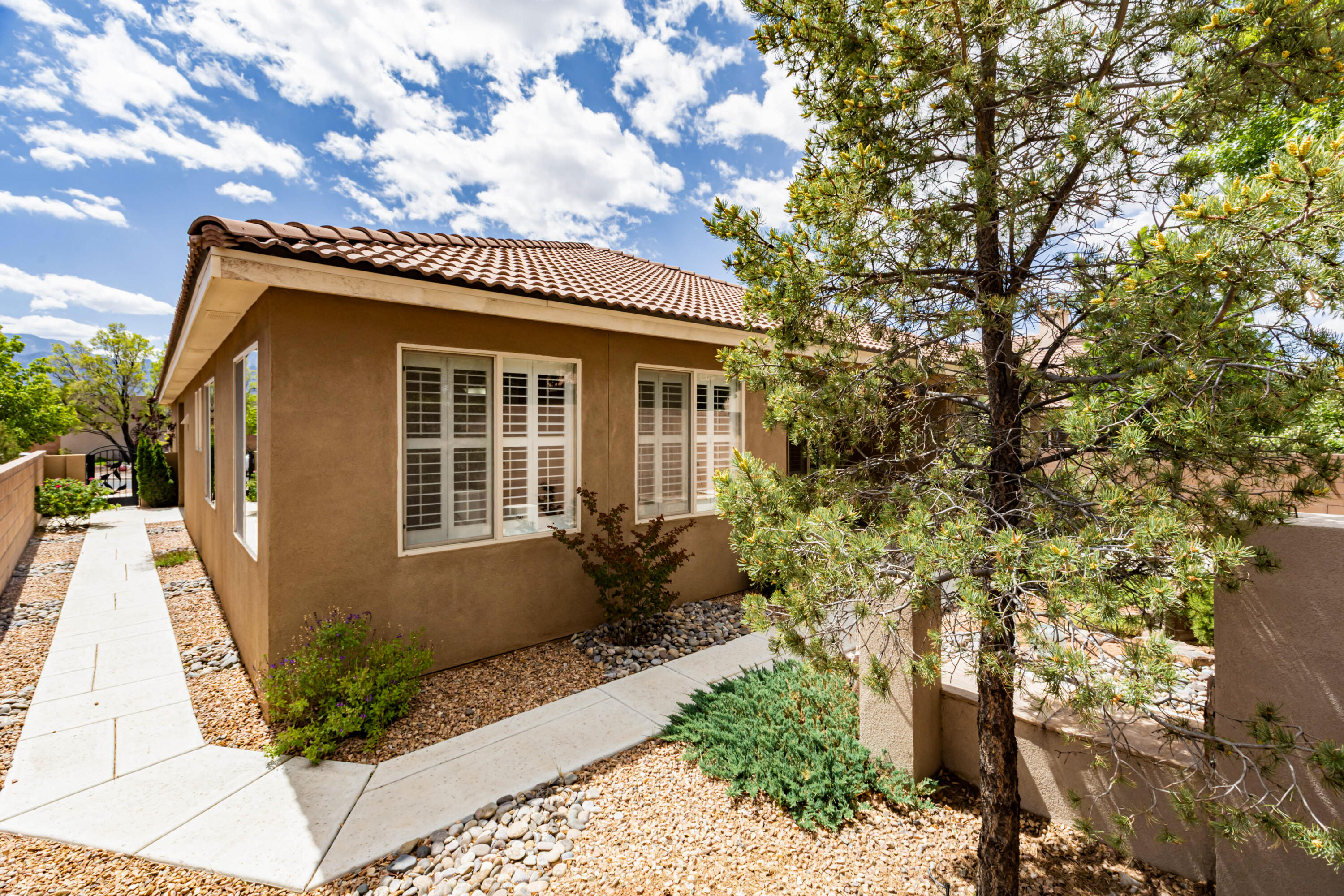 Photo 4 — 921 Purple Aster Drive