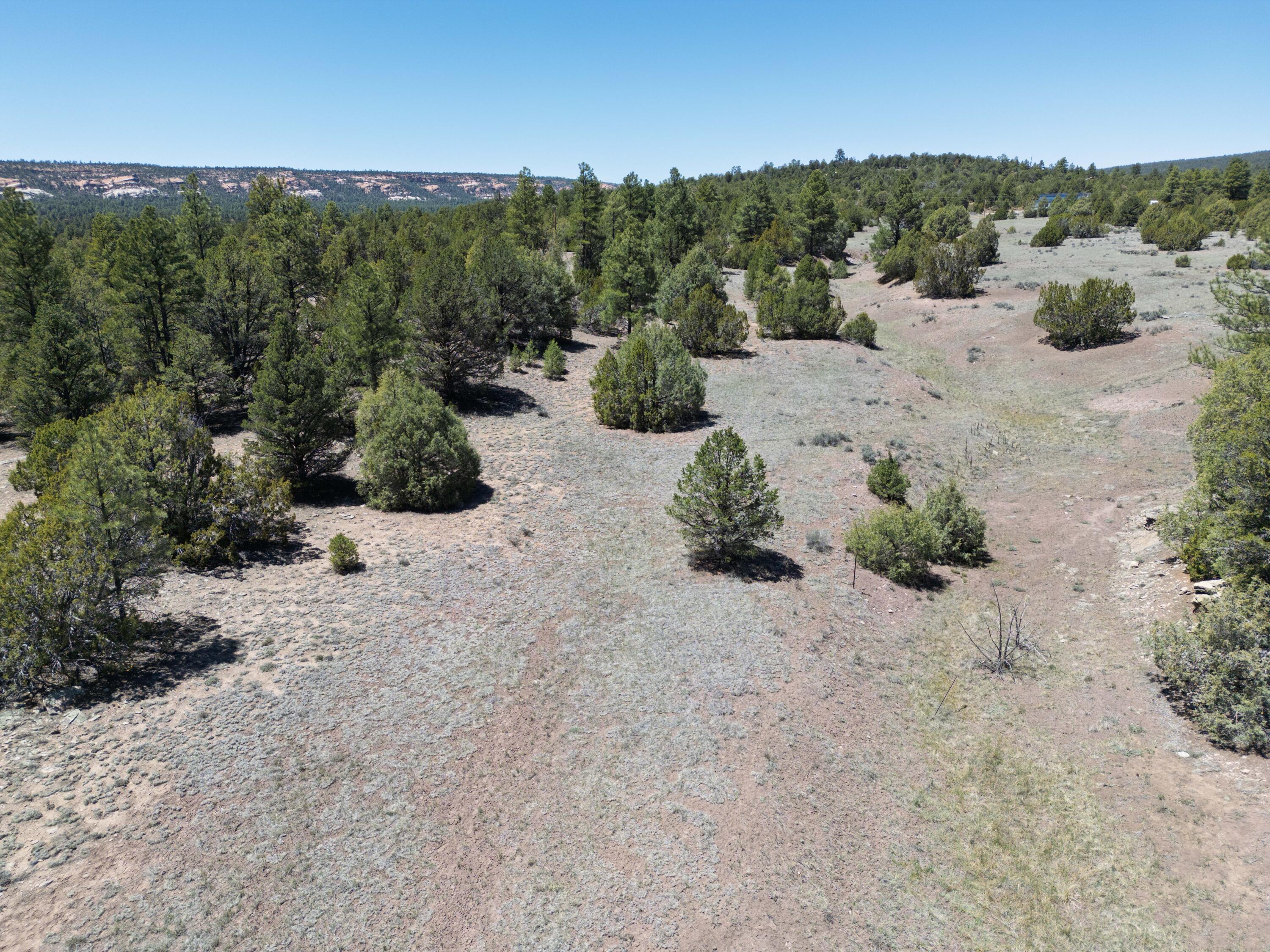 Photo 20 — Lot 17 Buttonwood Drive