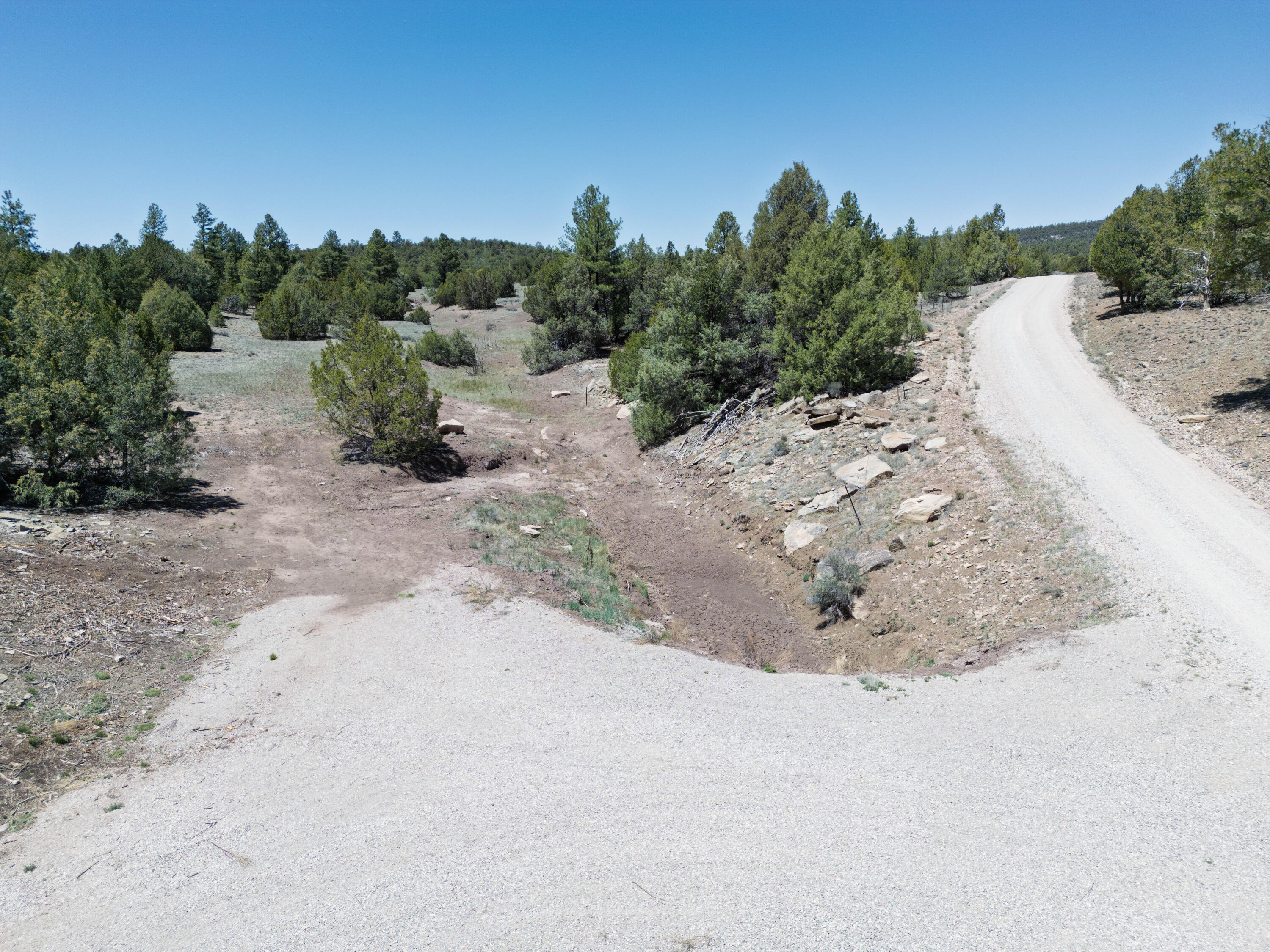 Photo 19 — Lot 17 Buttonwood Drive