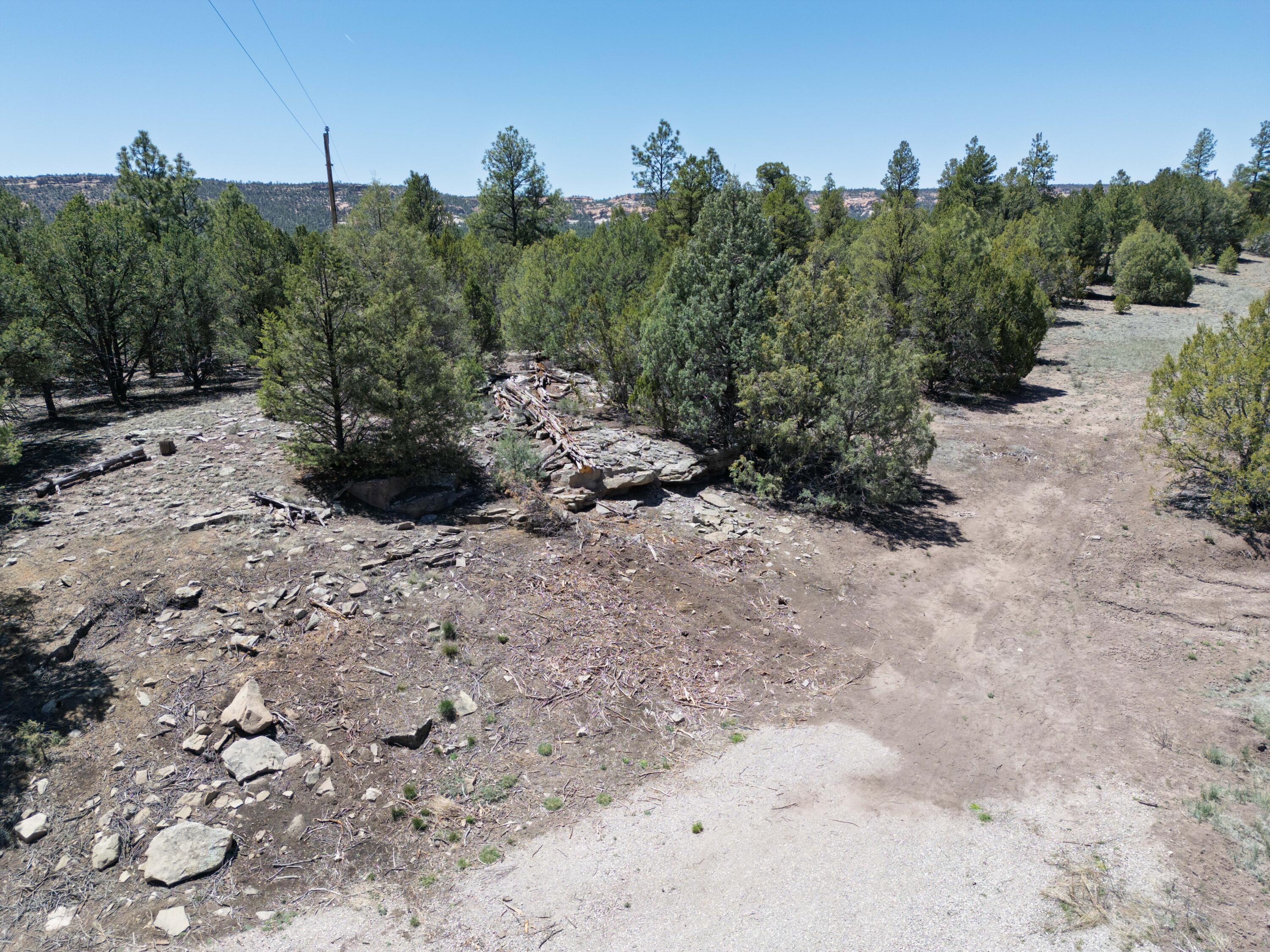 Photo 17 — Lot 17 Buttonwood Drive