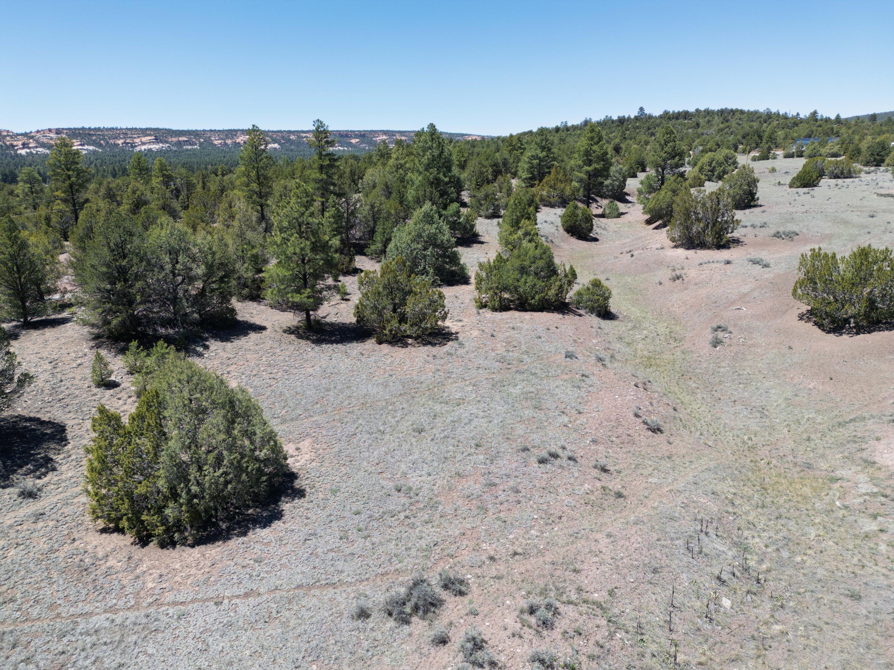 Photo 16 — Lot 17 Buttonwood Drive