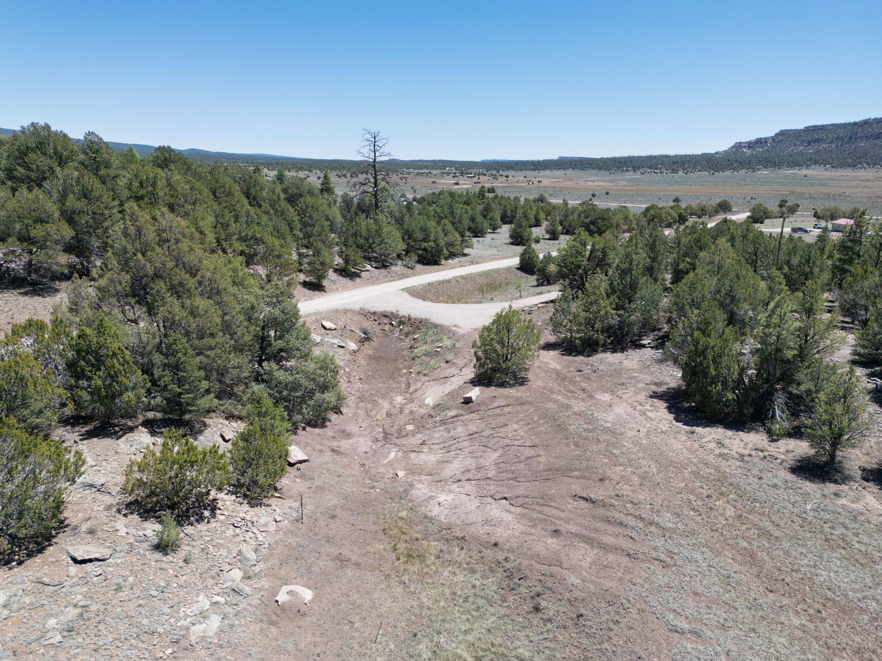 Photo 15 — Lot 17 Buttonwood Drive