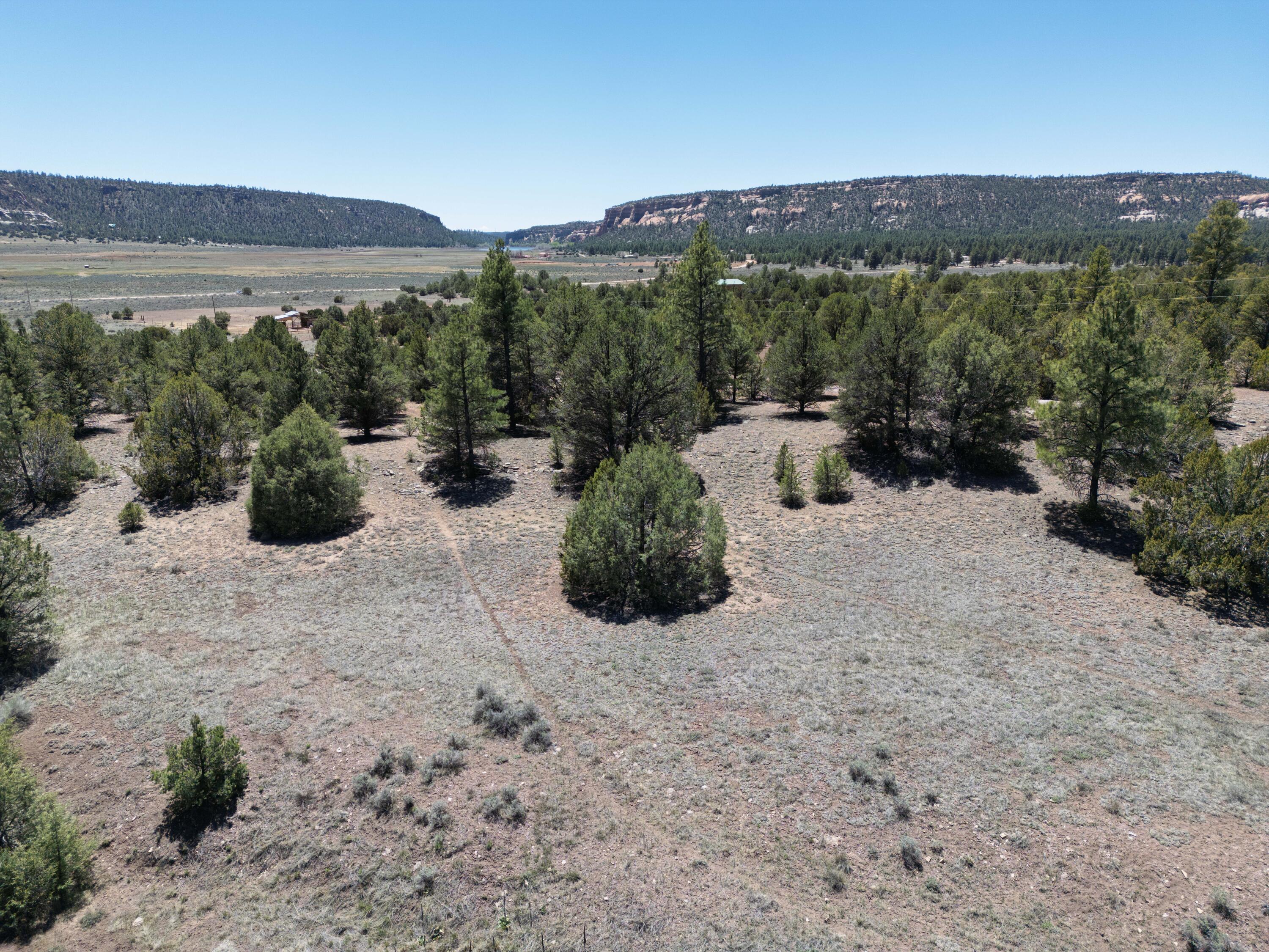 Photo 14 — Lot 17 Buttonwood Drive