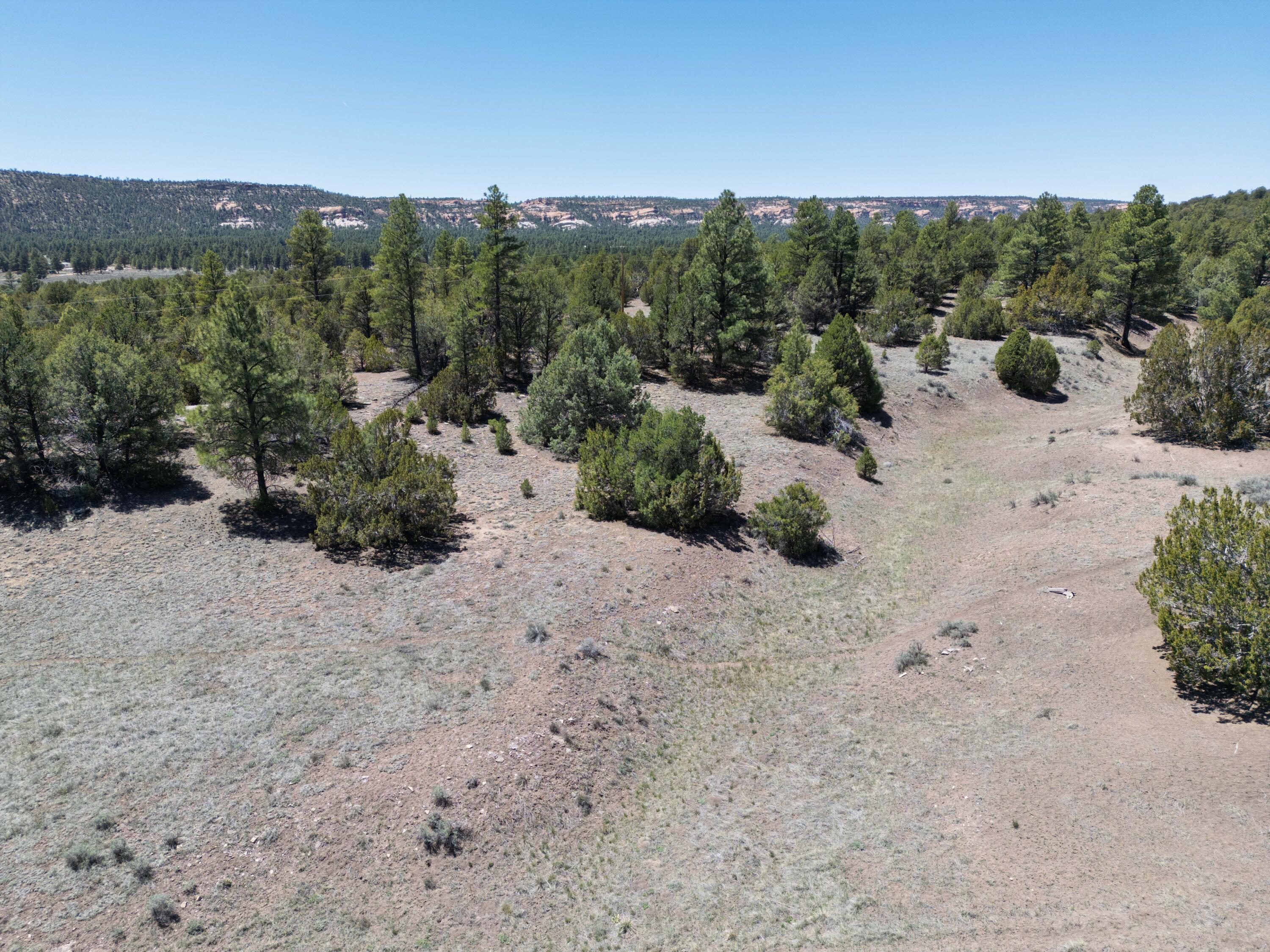 Photo 13 — Lot 17 Buttonwood Drive