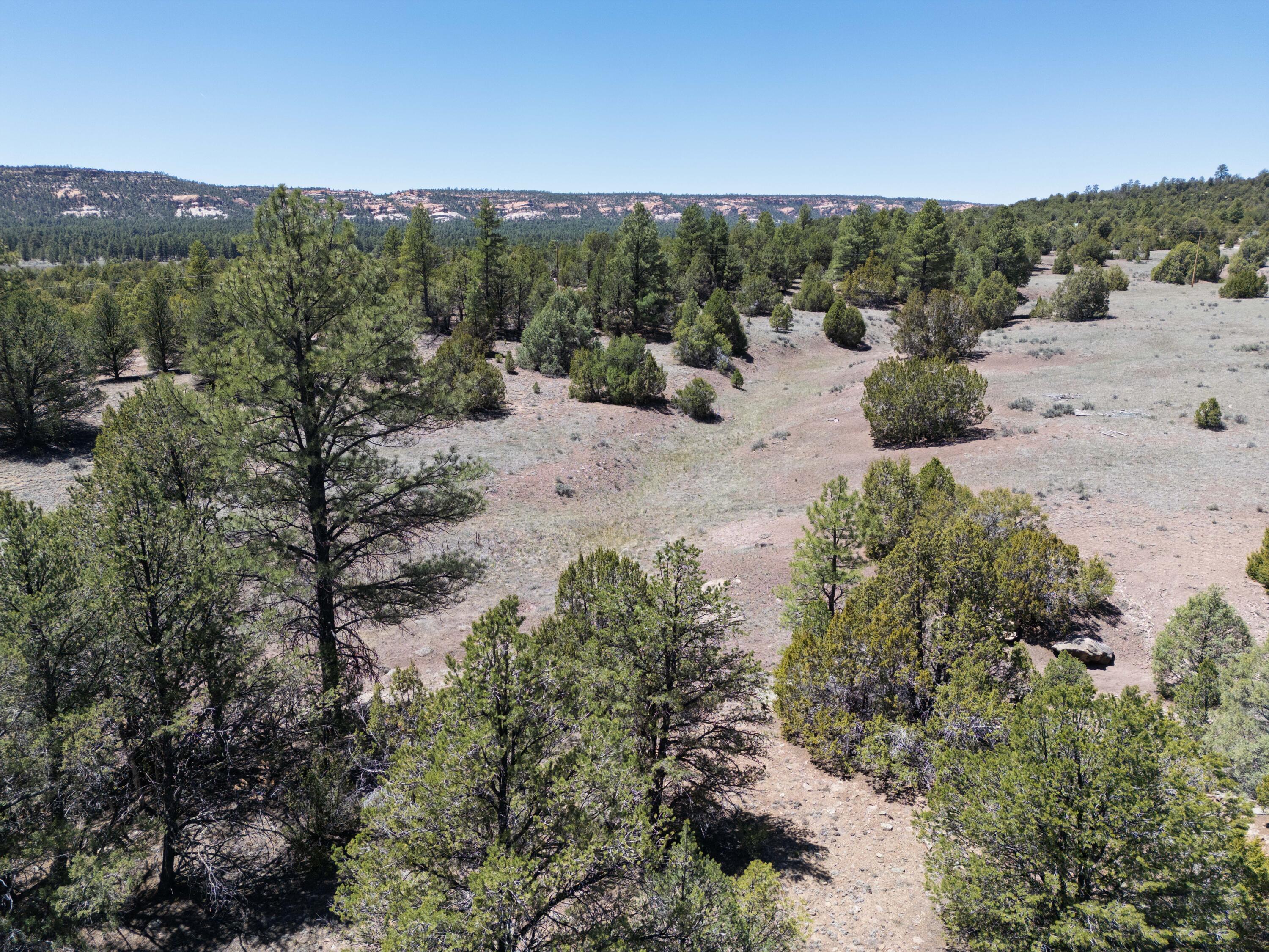 Photo 12 — Lot 17 Buttonwood Drive