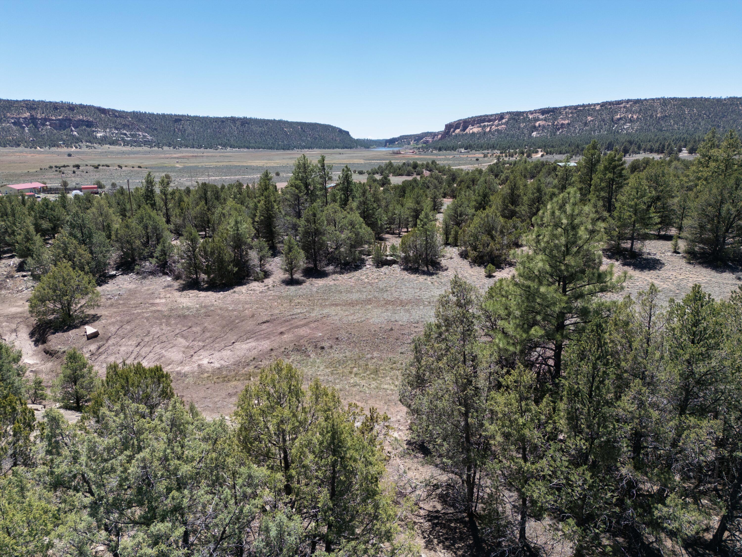 Photo 10 — Lot 17 Buttonwood Drive