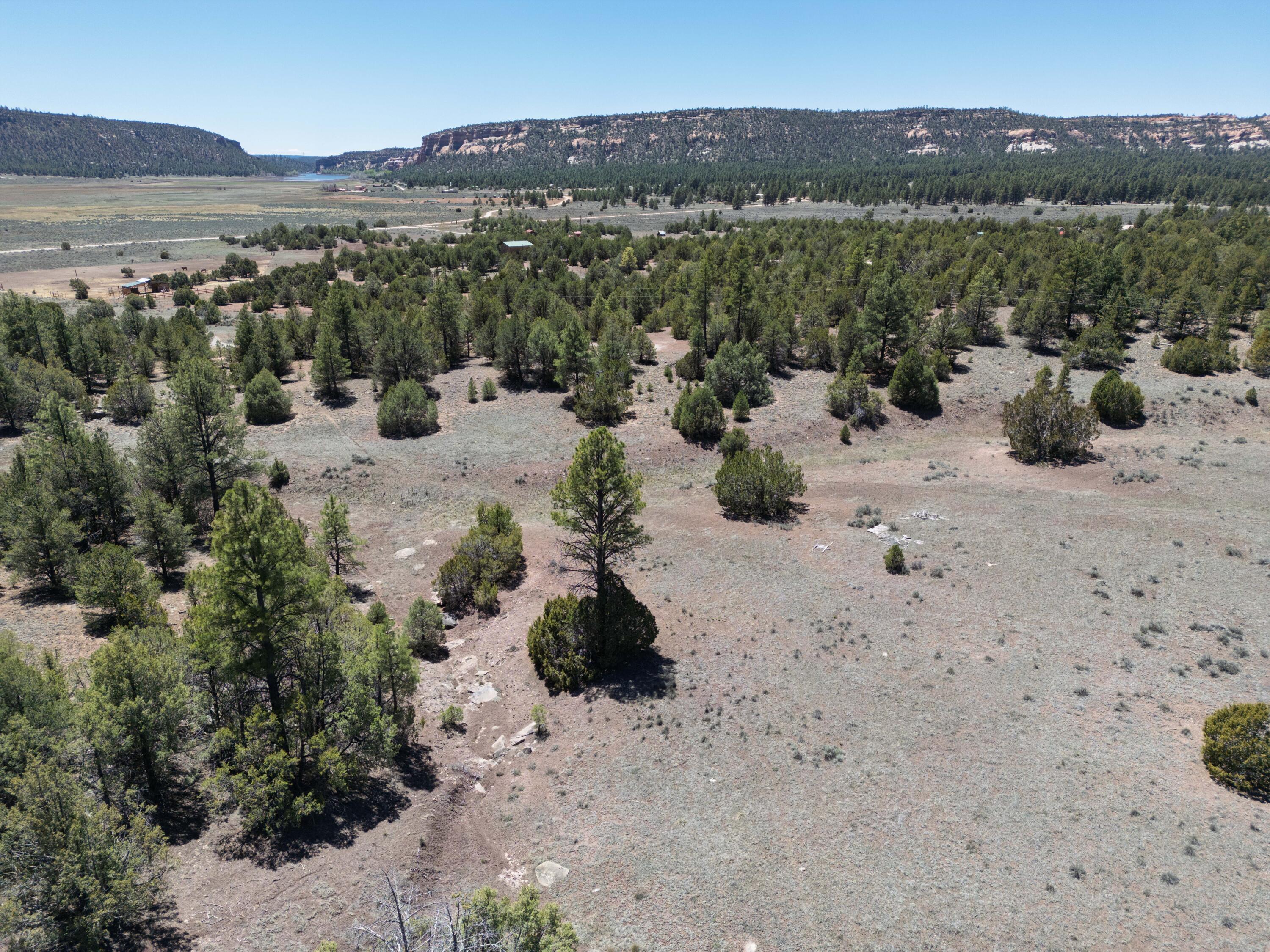 Photo 5 — Lot 17 Buttonwood Drive