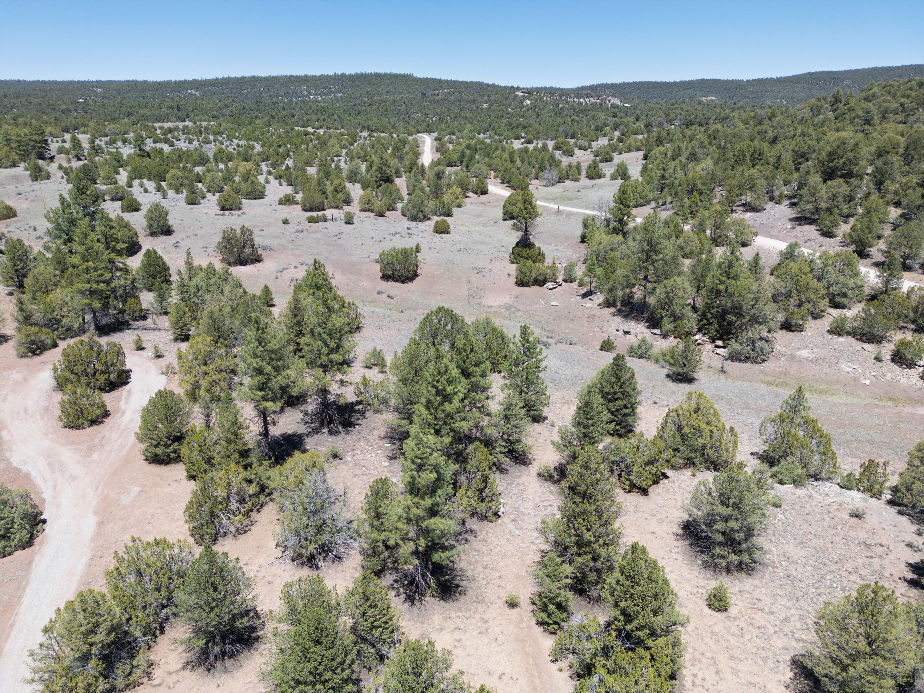 Photo 3 — Lot 17 Buttonwood Drive