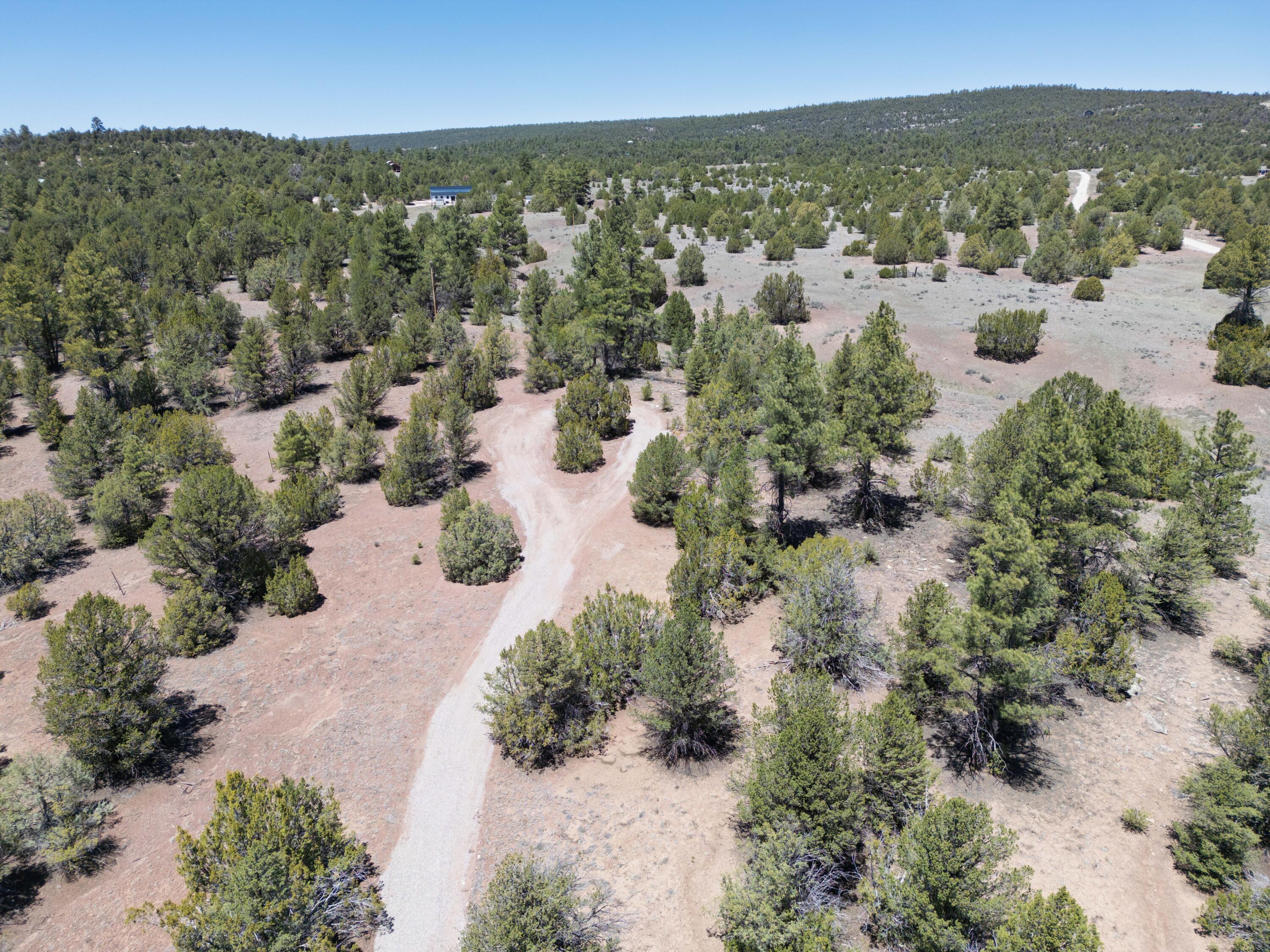 Photo 2 — Lot 17 Buttonwood Drive