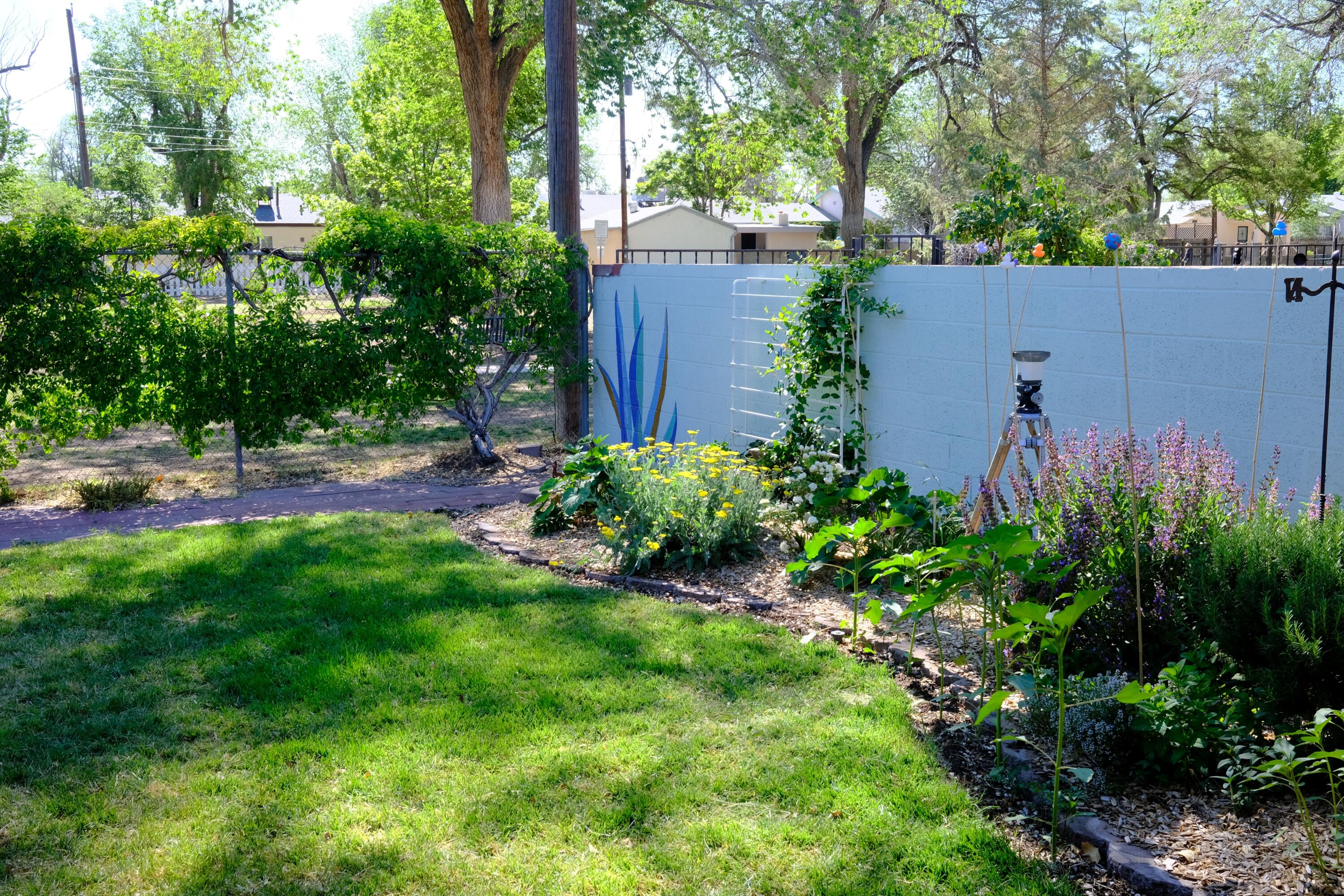Photo 13 — 806 Hermosa Drive NE