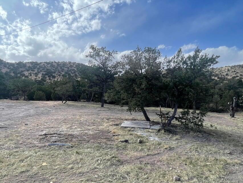 Photo 20 — 175 Hop Canyon Road