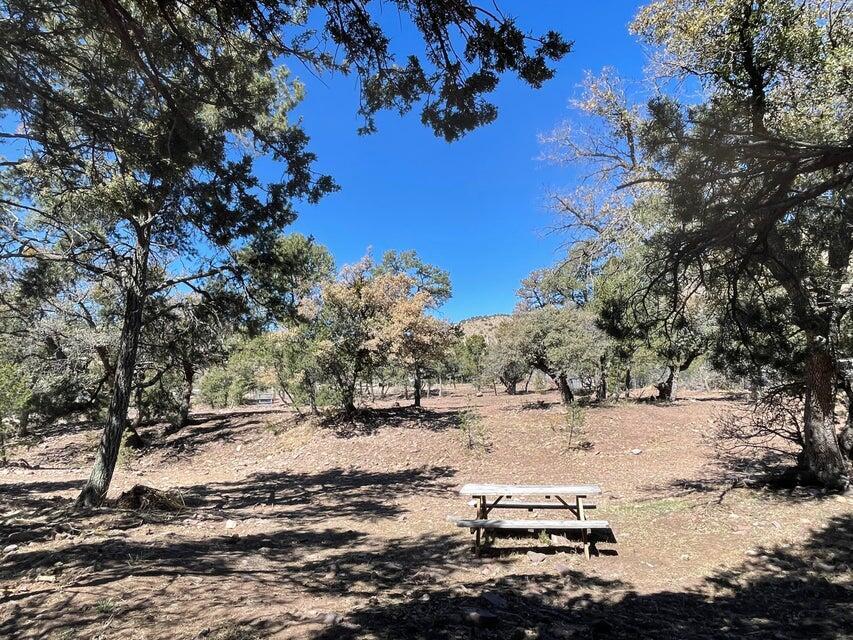 Photo 17 — 175 Hop Canyon Road