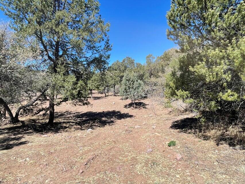 Photo 16 — 175 Hop Canyon Road