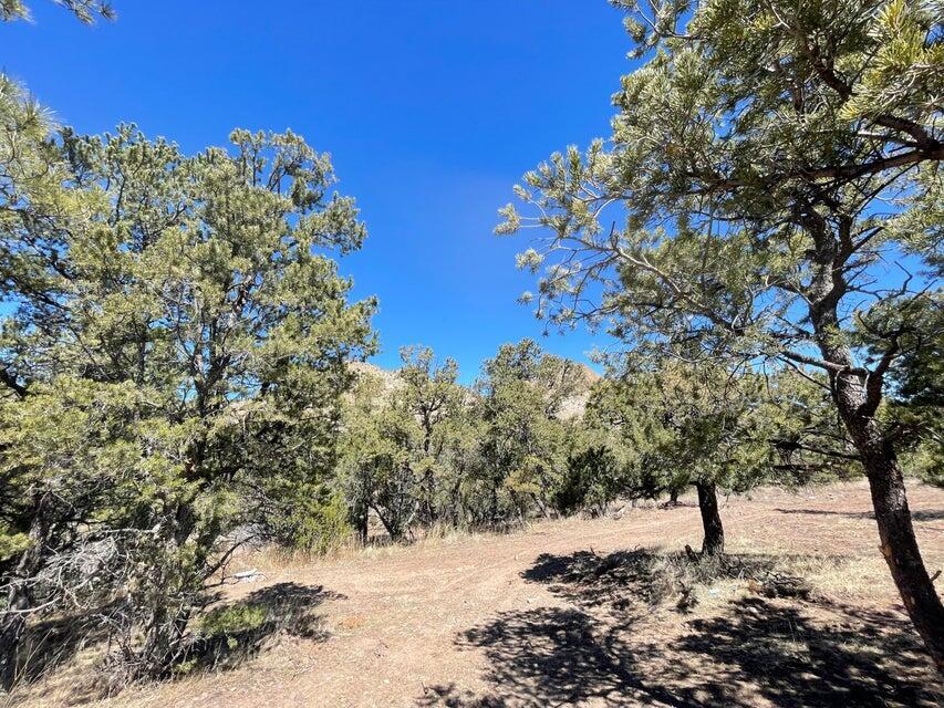 Photo 15 — 175 Hop Canyon Road