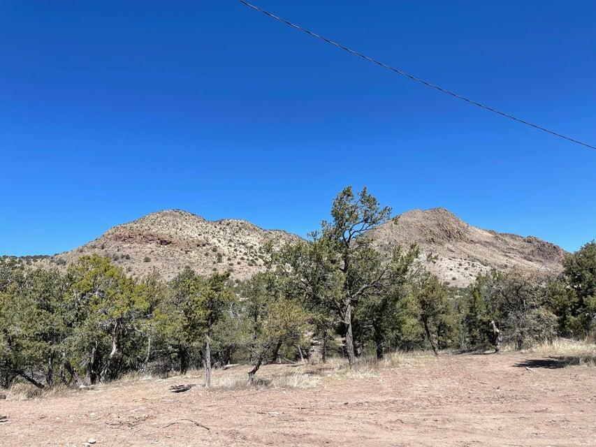 Photo 14 — 175 Hop Canyon Road