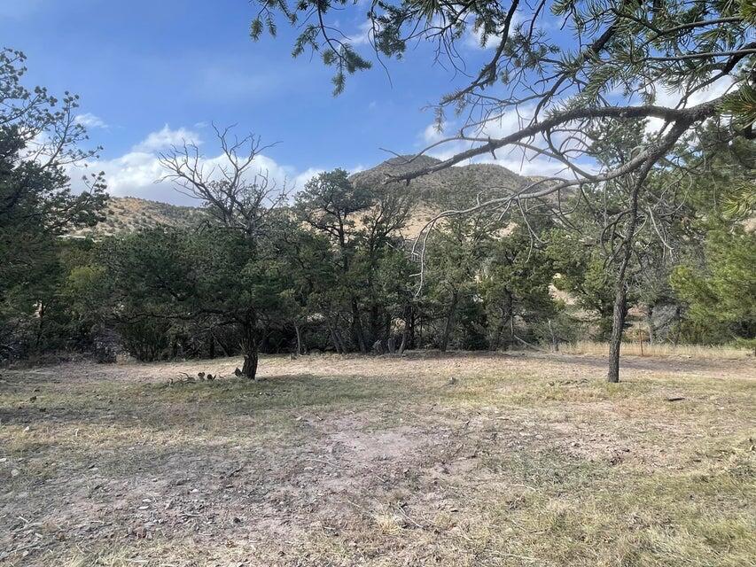 Photo 13 — 175 Hop Canyon Road