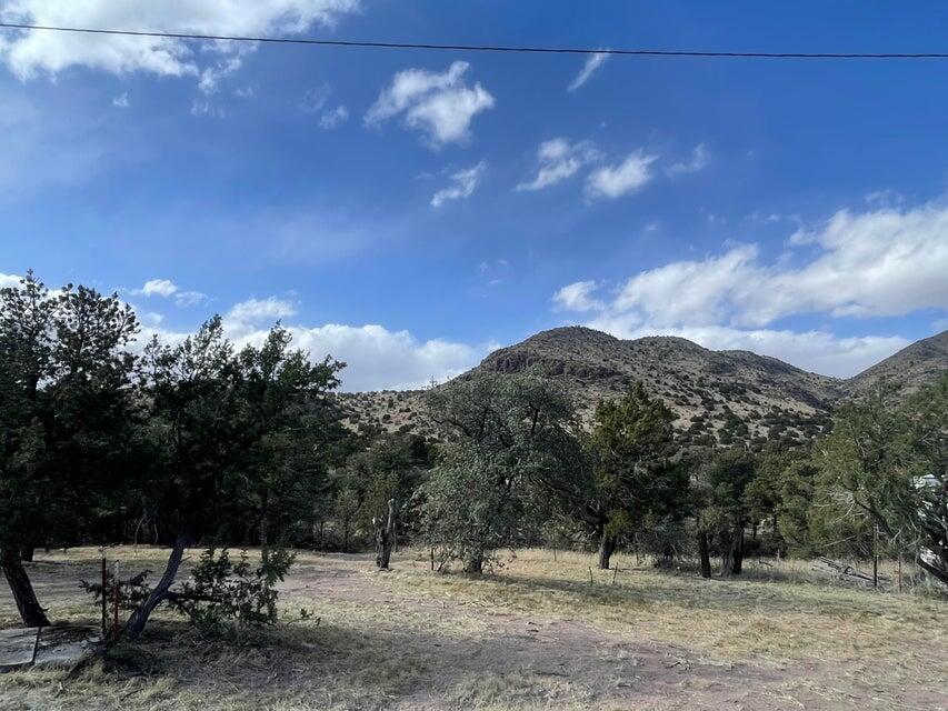 Photo 12 — 175 Hop Canyon Road
