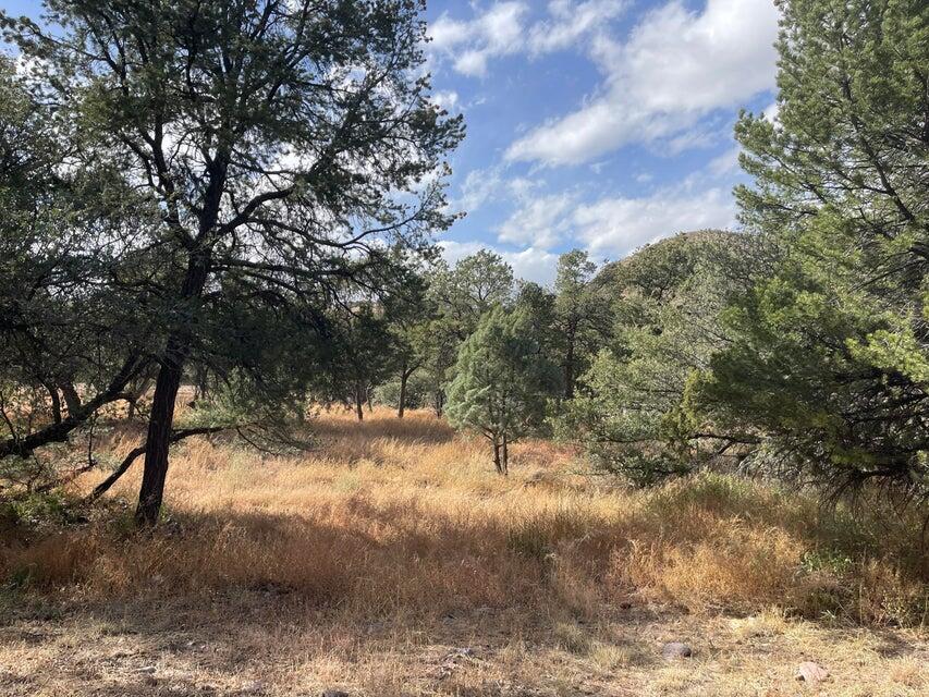 Photo 11 — 175 Hop Canyon Road