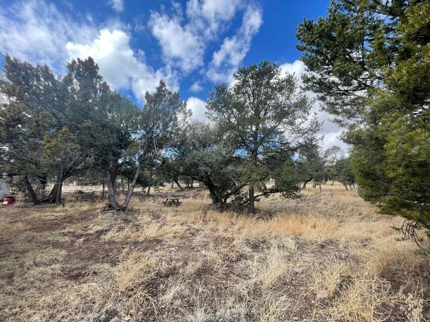 Photo 10 — 175 Hop Canyon Road