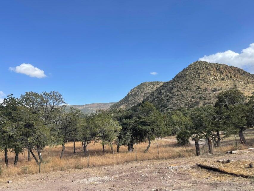 Photo 8 — 175 Hop Canyon Road
