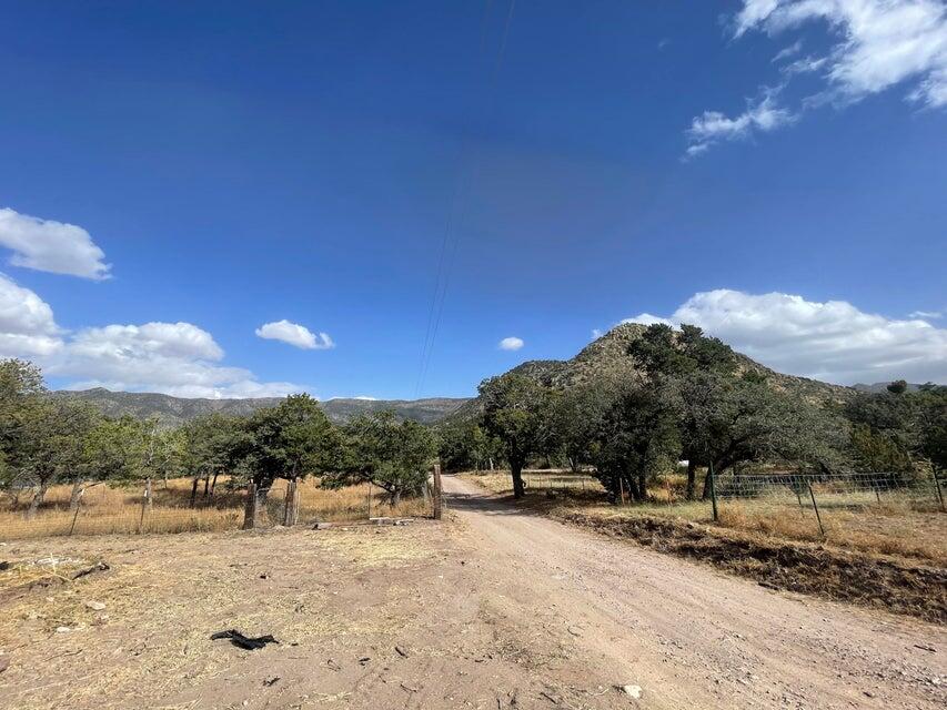 Photo 6 — 175 Hop Canyon Road