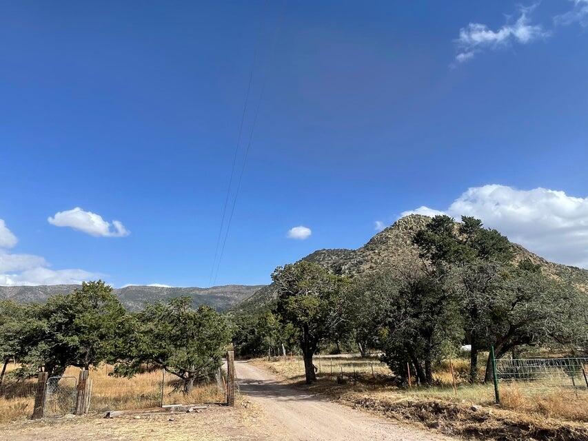 Photo 5 — 175 Hop Canyon Road