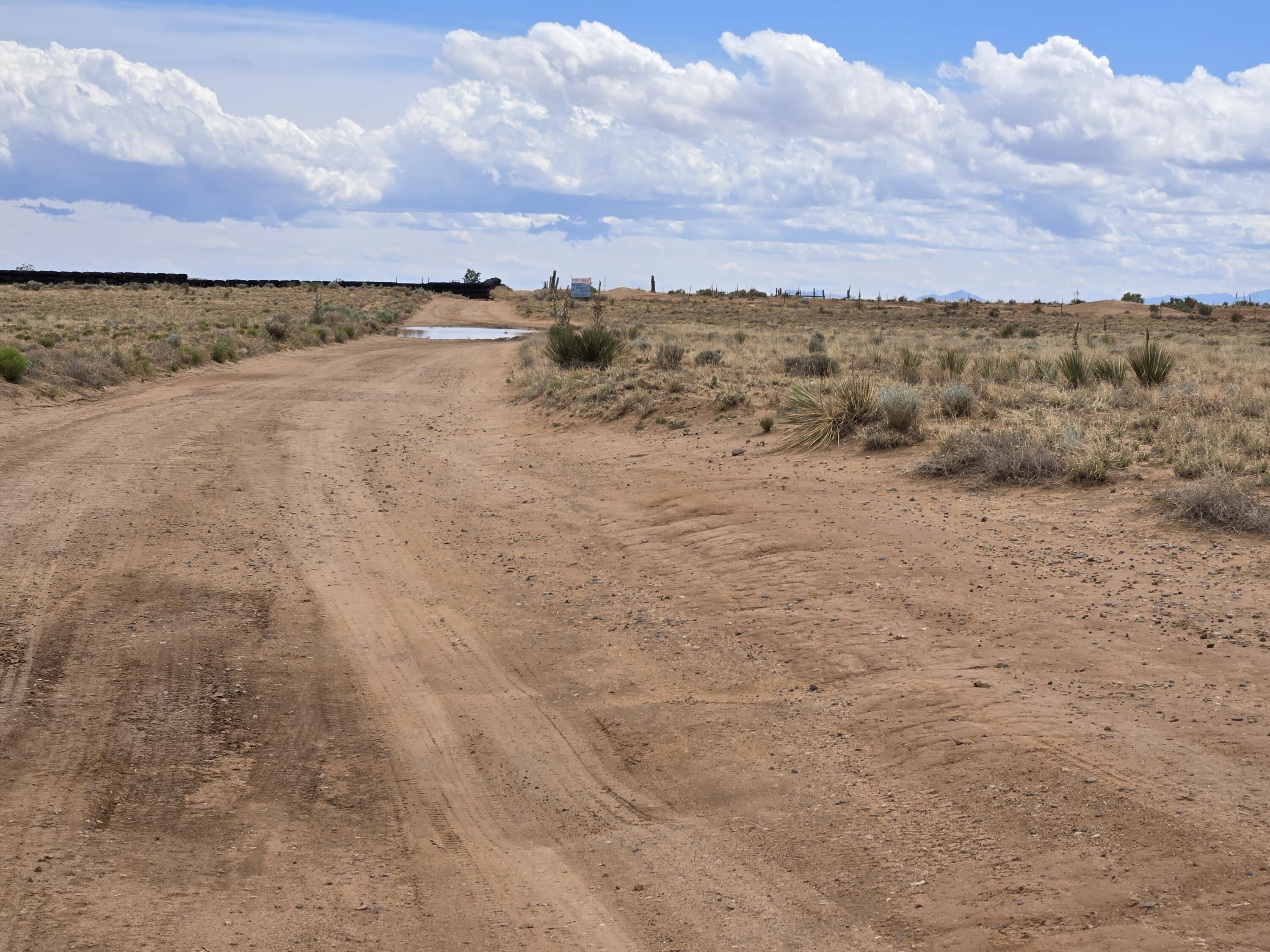 Photo 6 —  Emilia Road