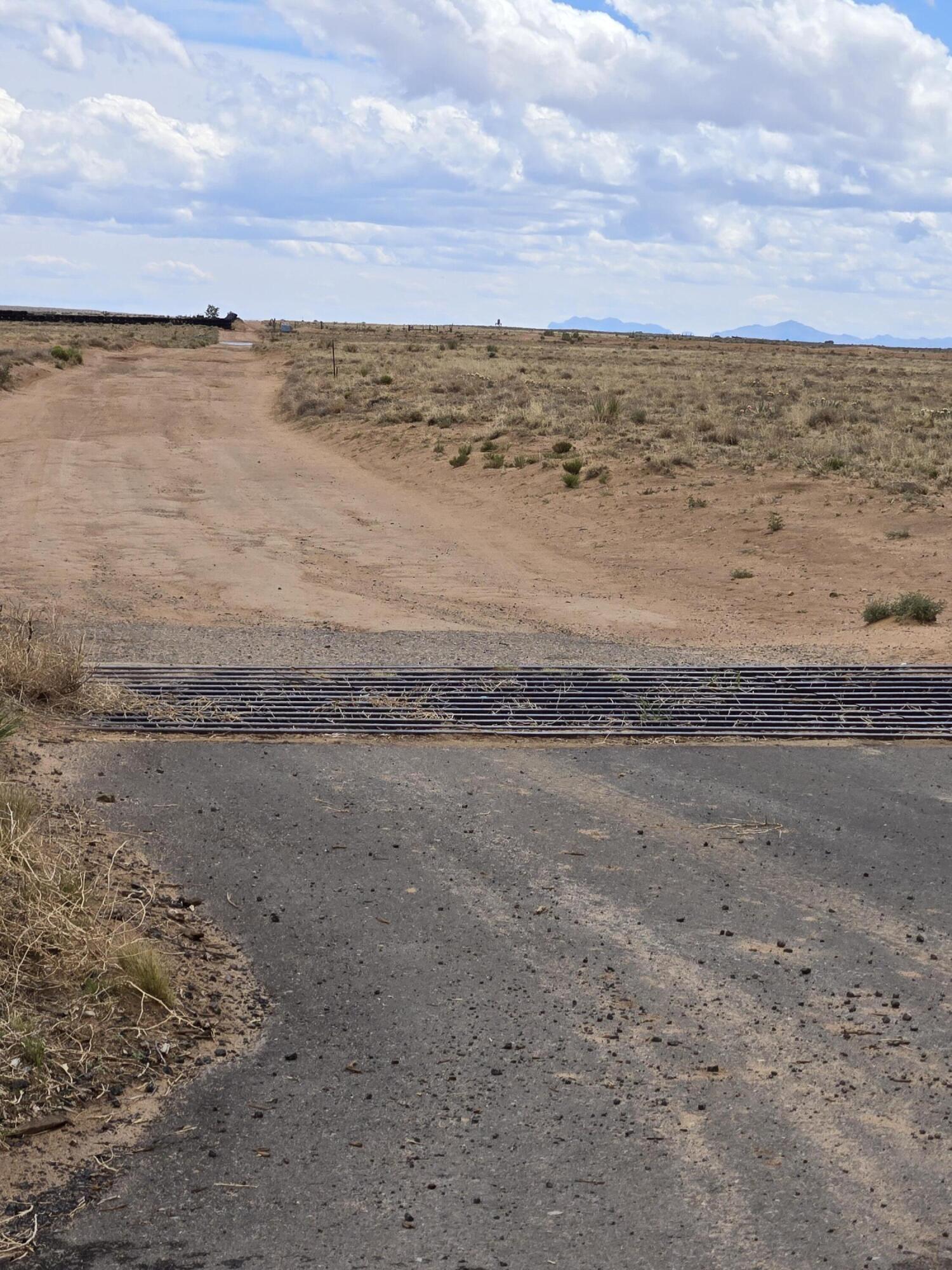 Photo 3 —  Emilia Road