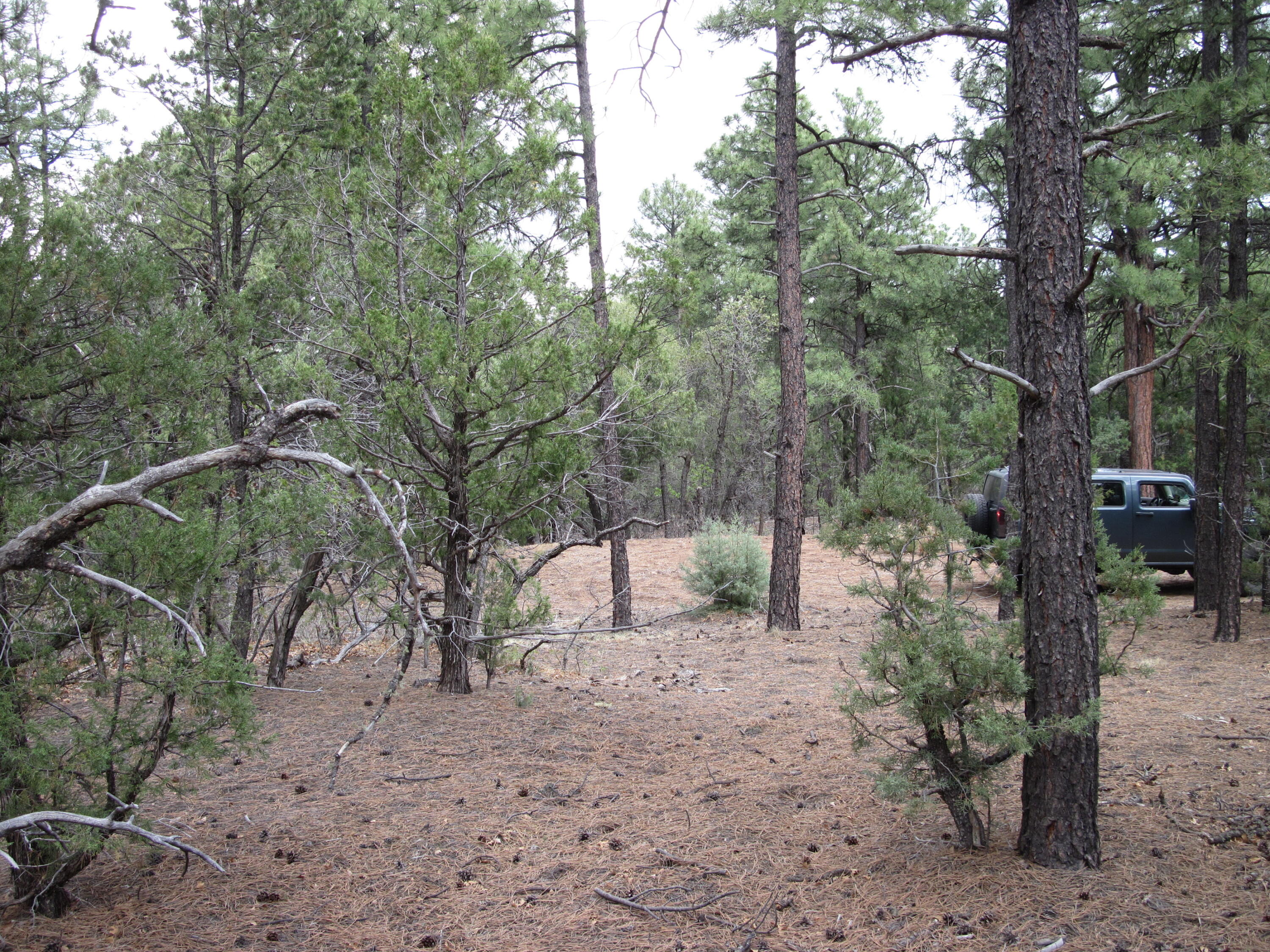 Photo 5 — 20 Estrella Vista Drive