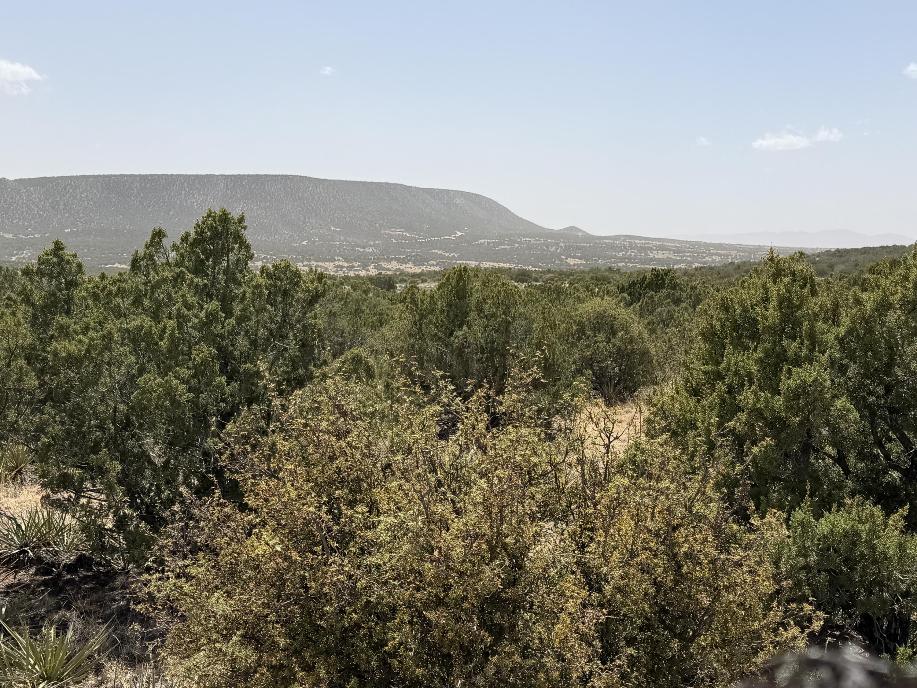 Photo 10 — 251 Keres Trail