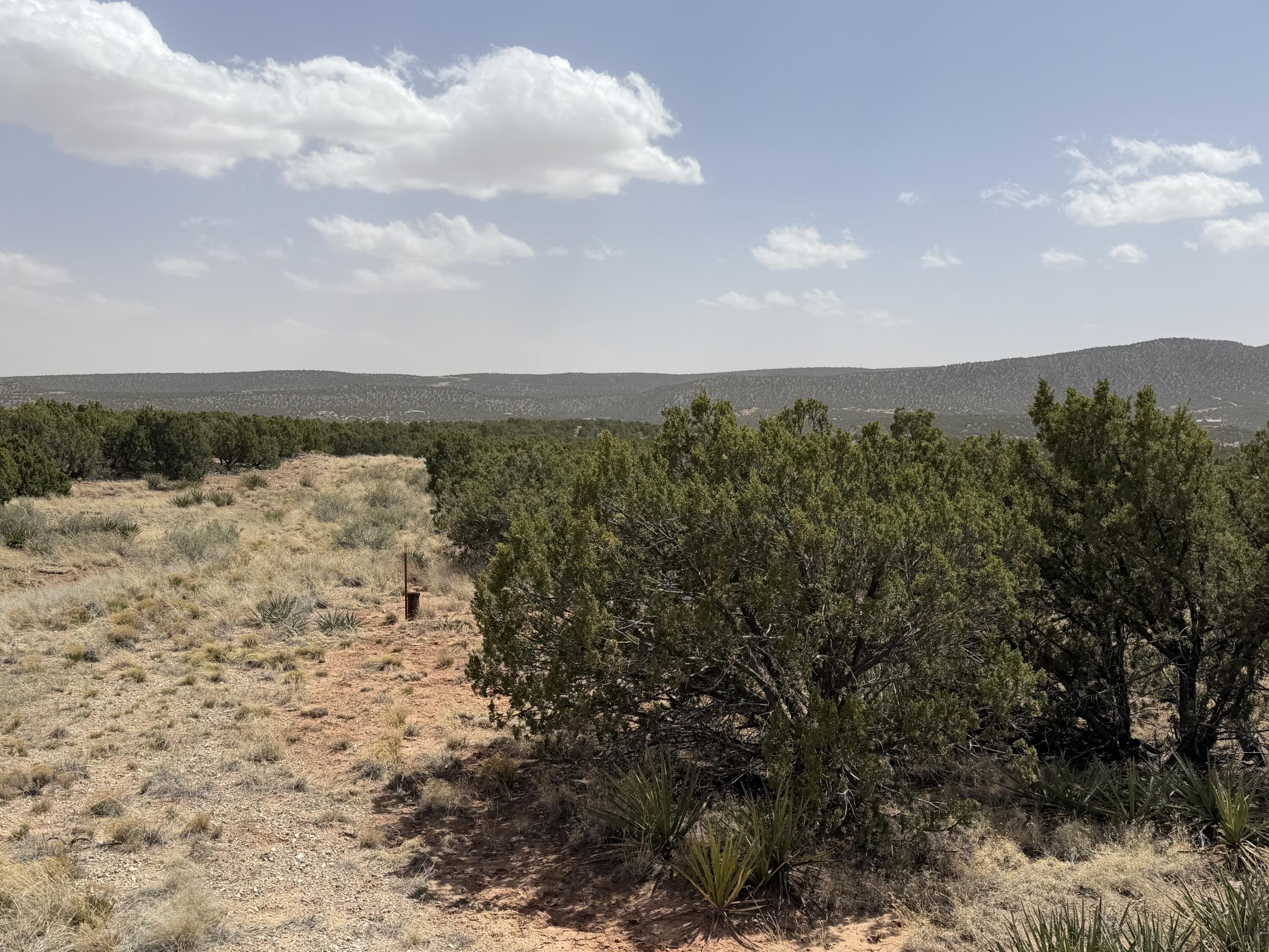 Photo 6 — 251 Keres Trail