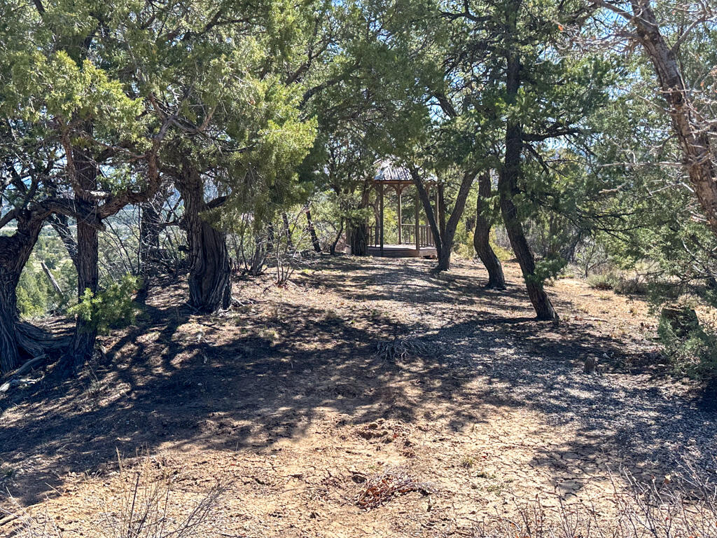 Photo 11 — 61 Rincon Road