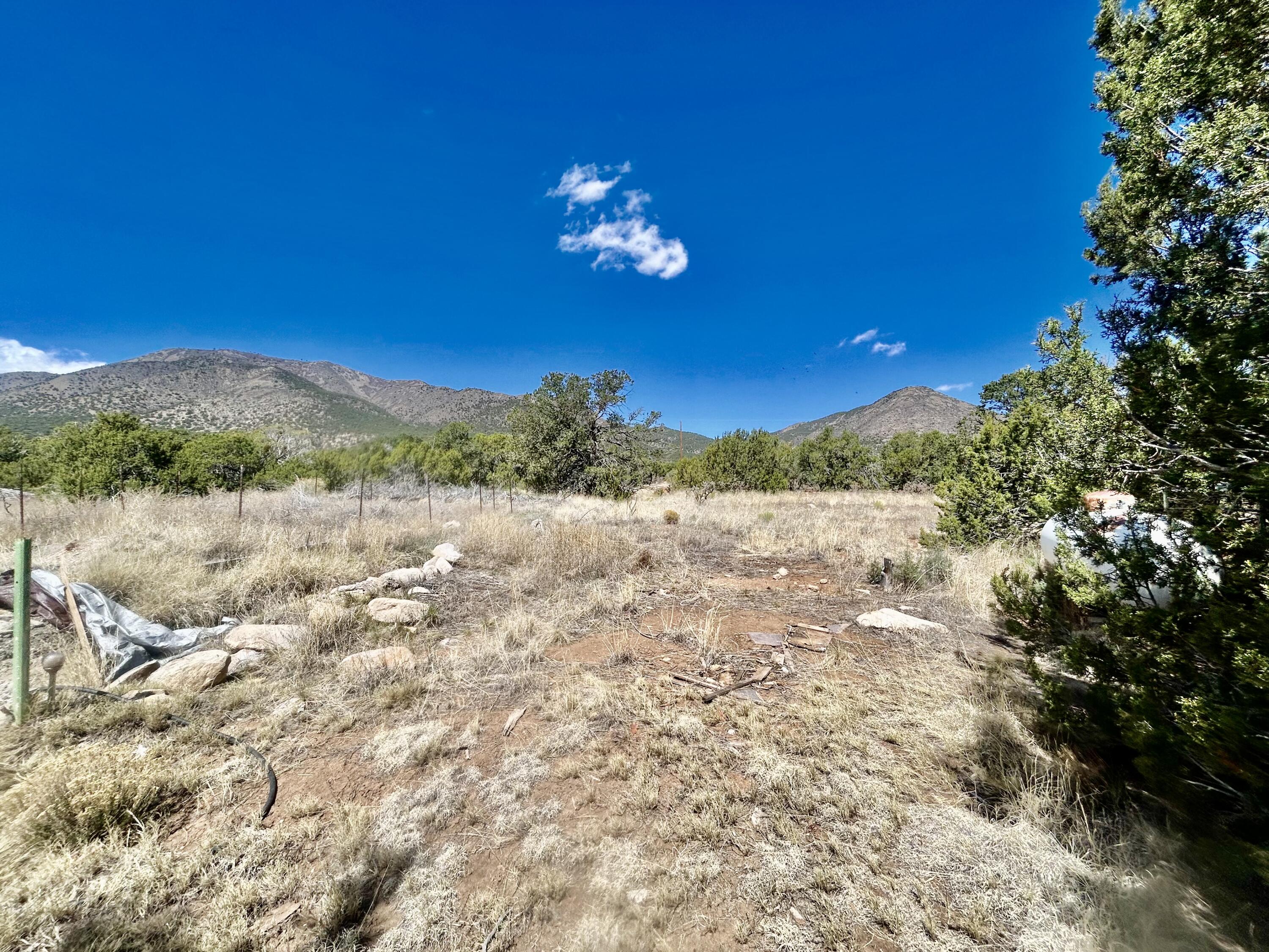 Photo 3 — 51 Living Water Road