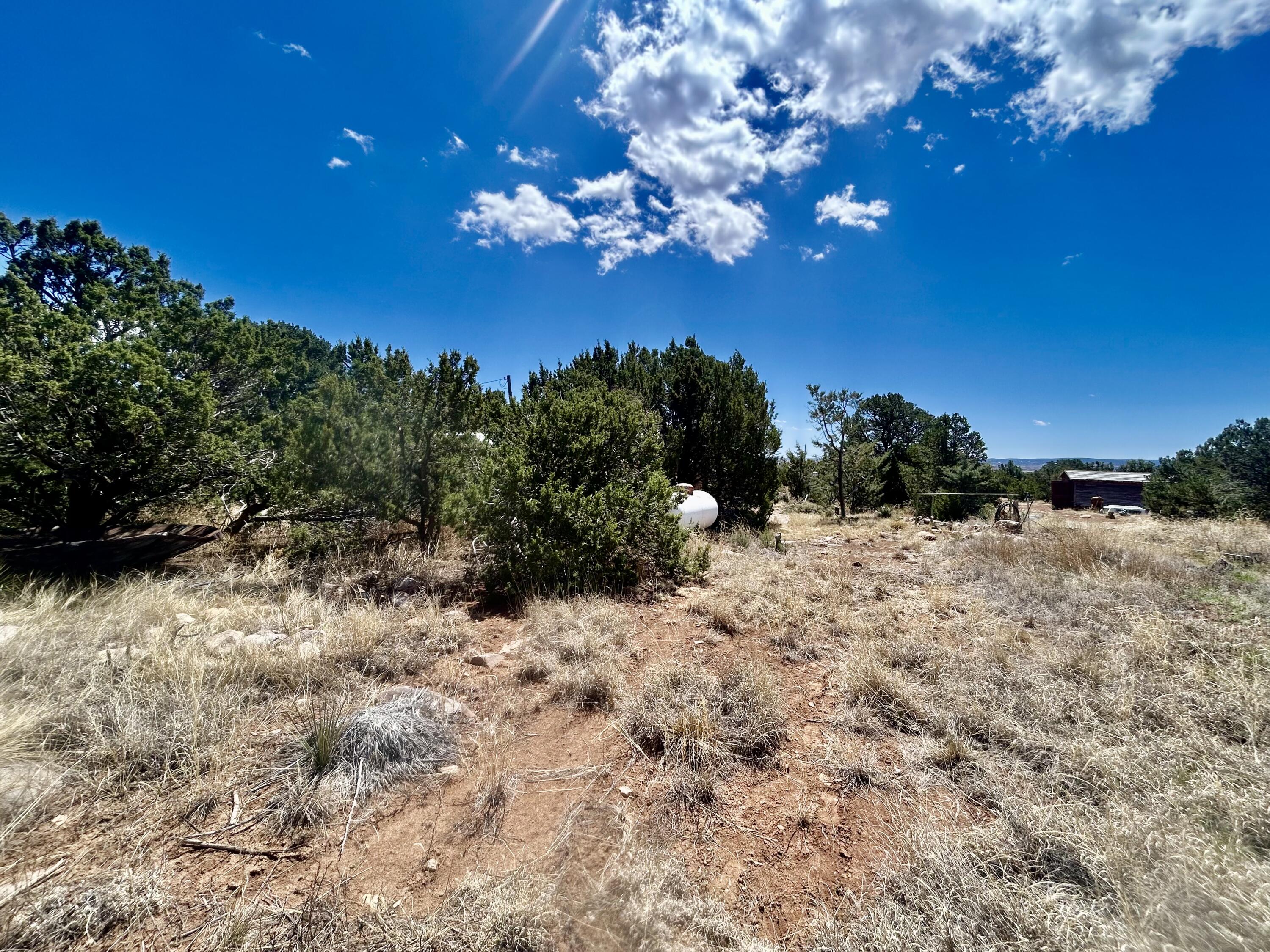Photo 4 — 51 Living Water Road
